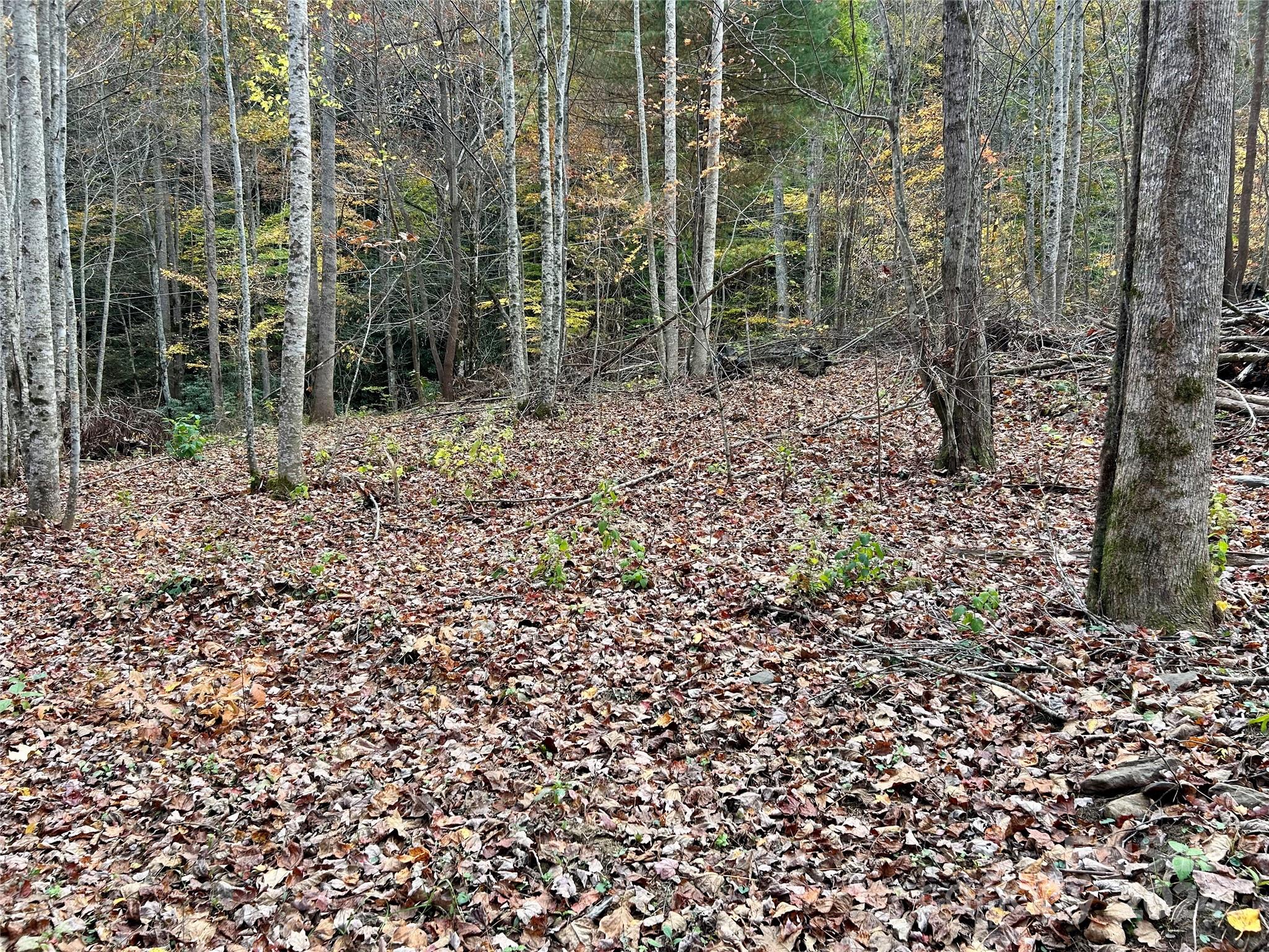 0 Campbell Creek Road Property Photo 7