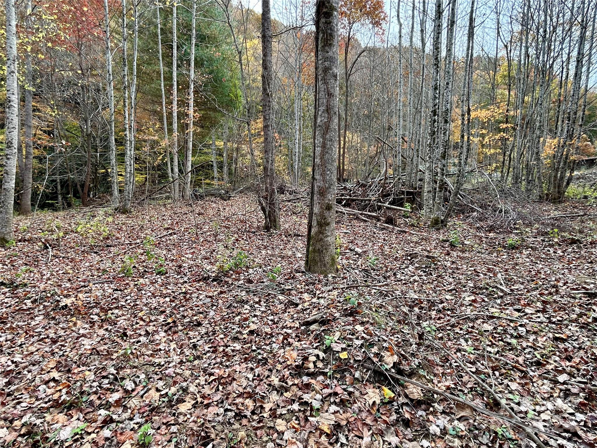 0 Campbell Creek Road Property Photo 8