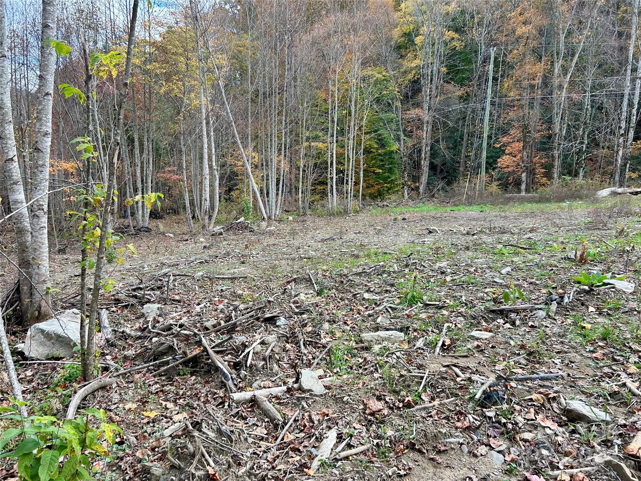 0 Campbell Creek Road Property Photo 9