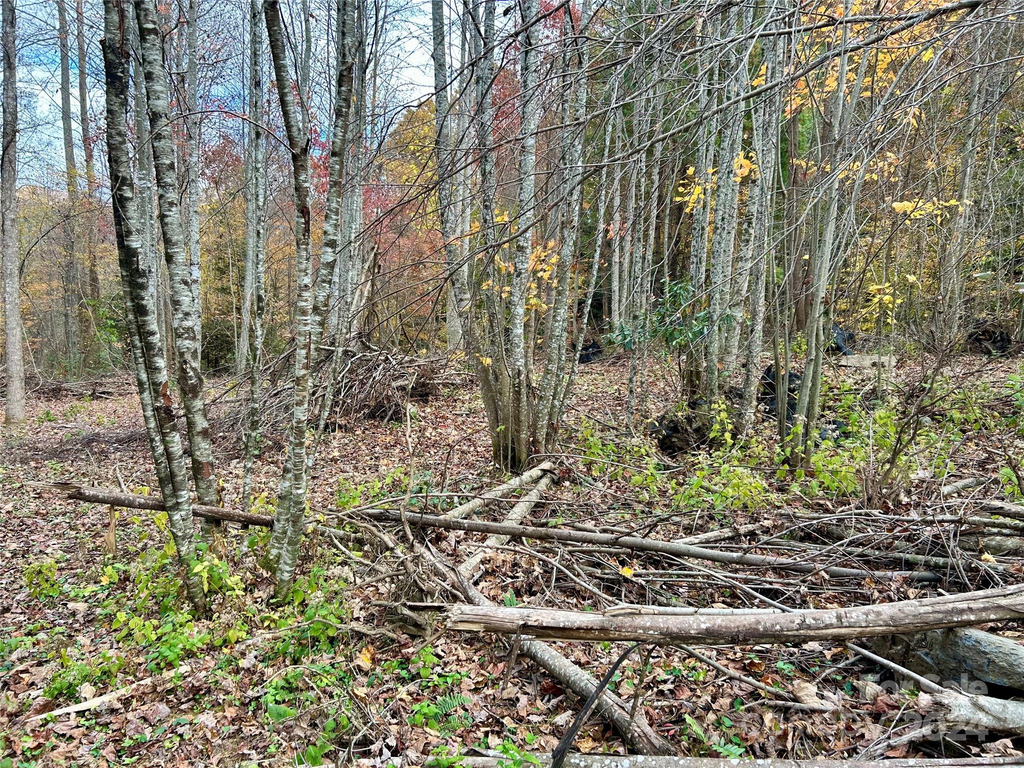 0 Campbell Creek Road Property Photo 10