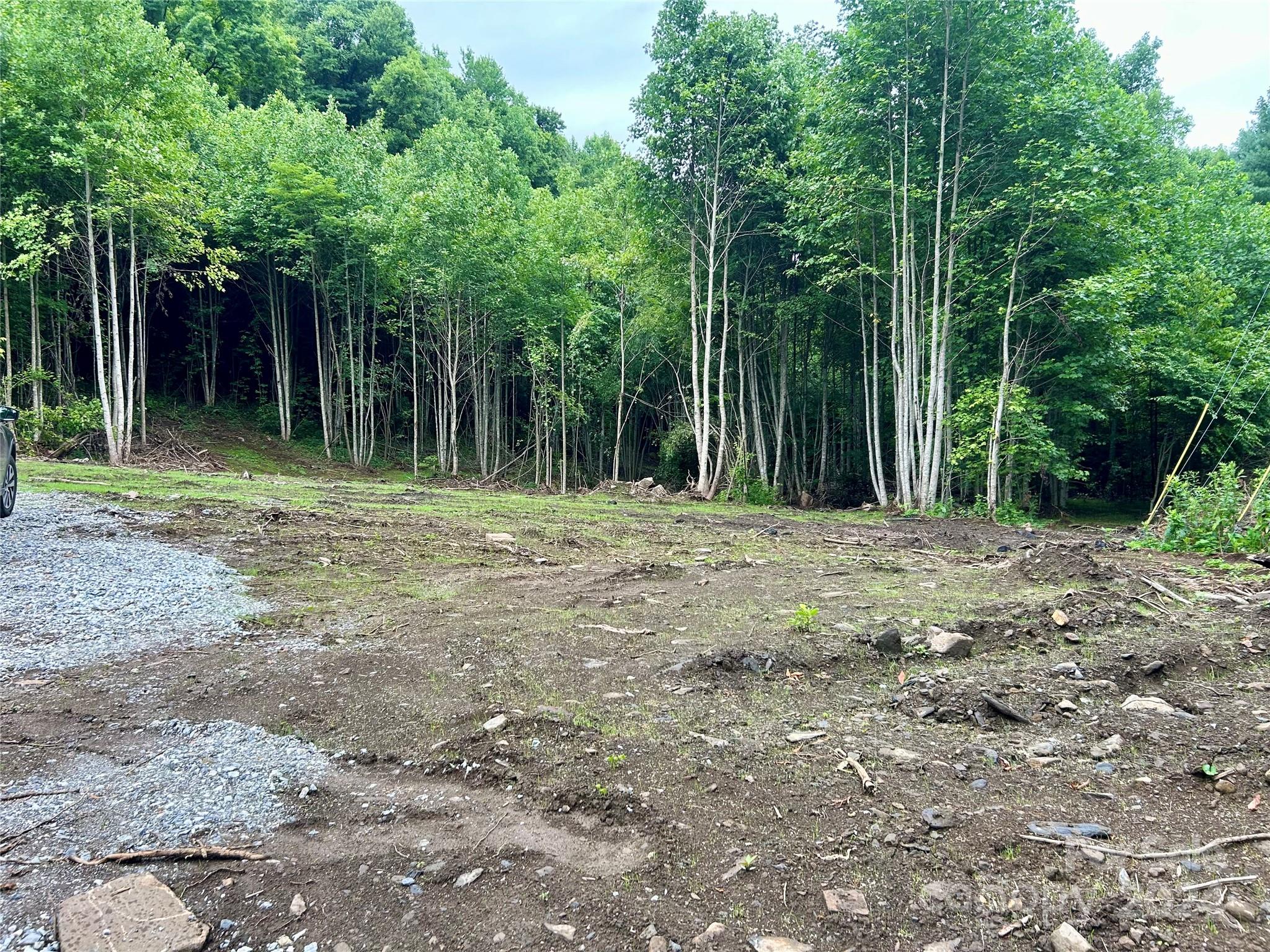 0 Campbell Creek Road Property Photo 11