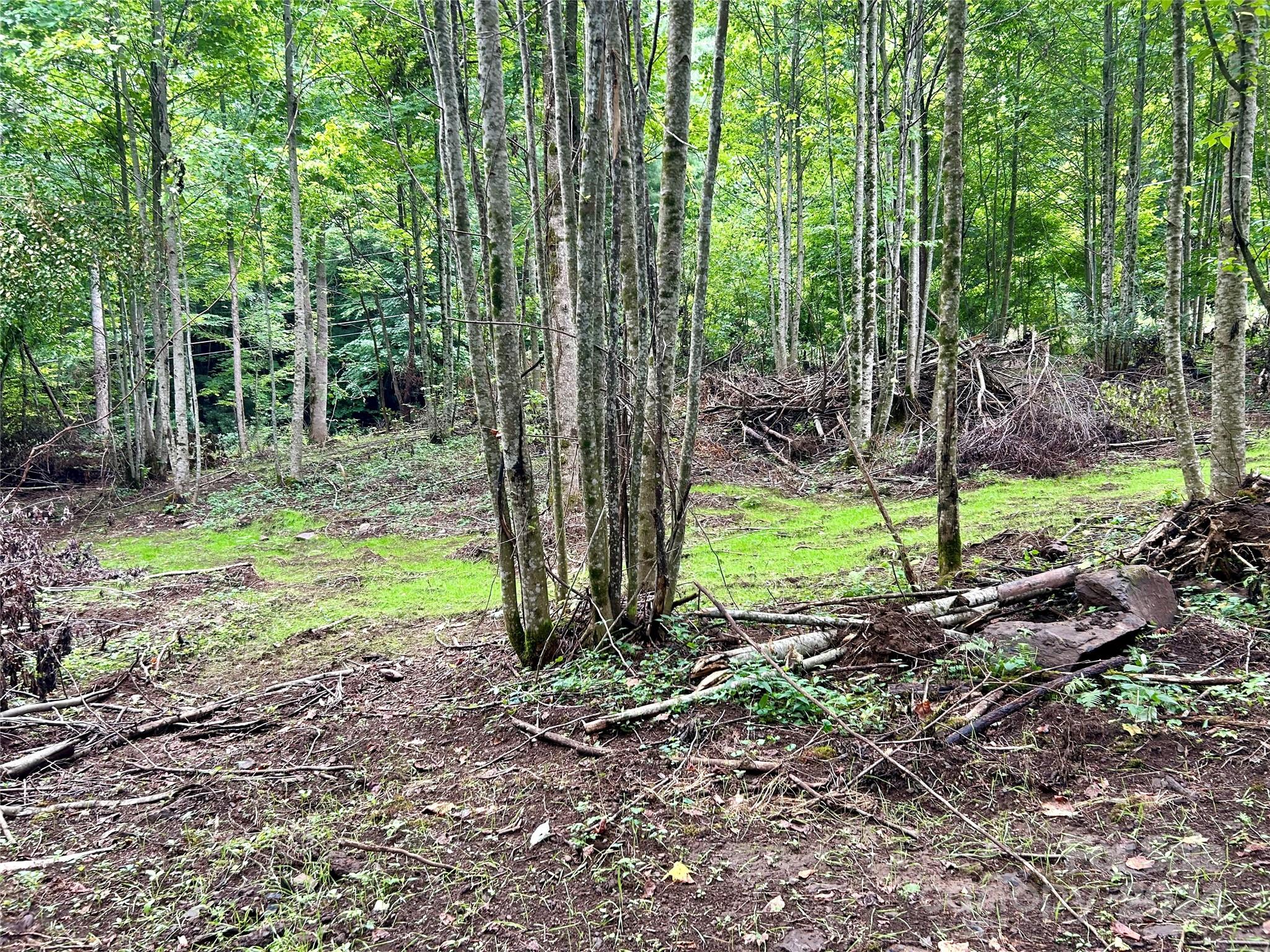 0 Campbell Creek Road Property Photo 12
