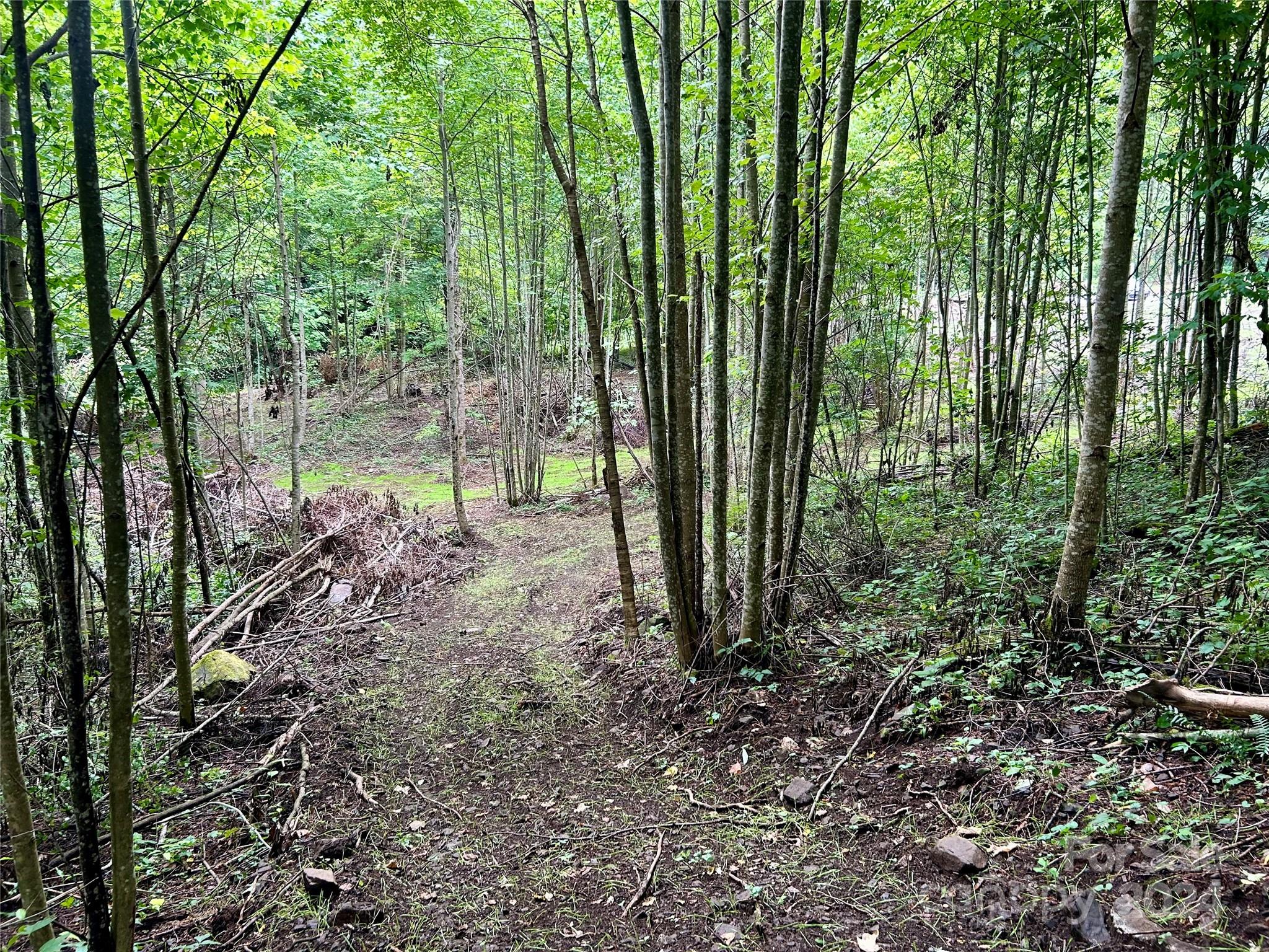 0 Campbell Creek Road Property Photo 16