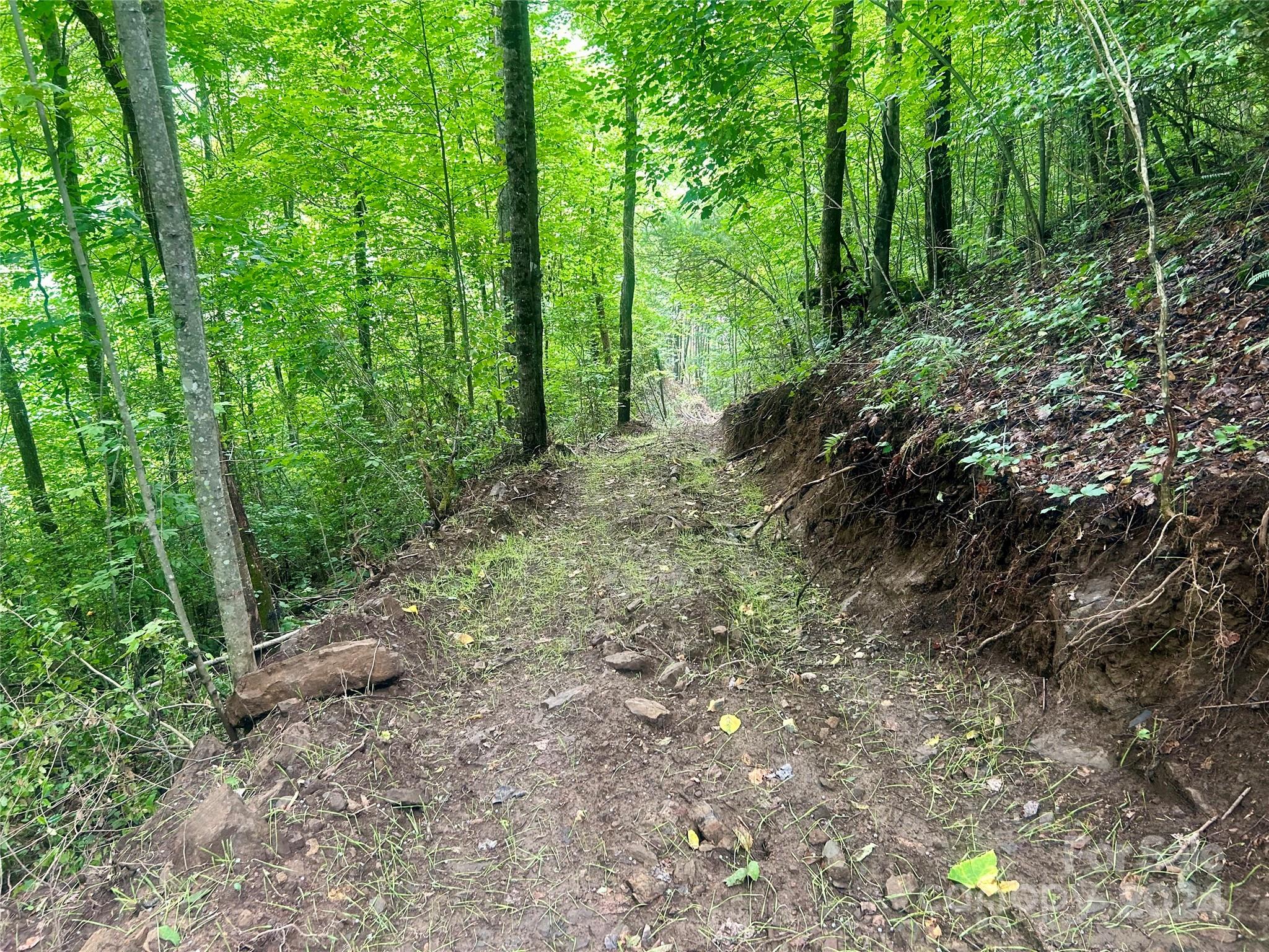 0 Campbell Creek Road Property Photo 17