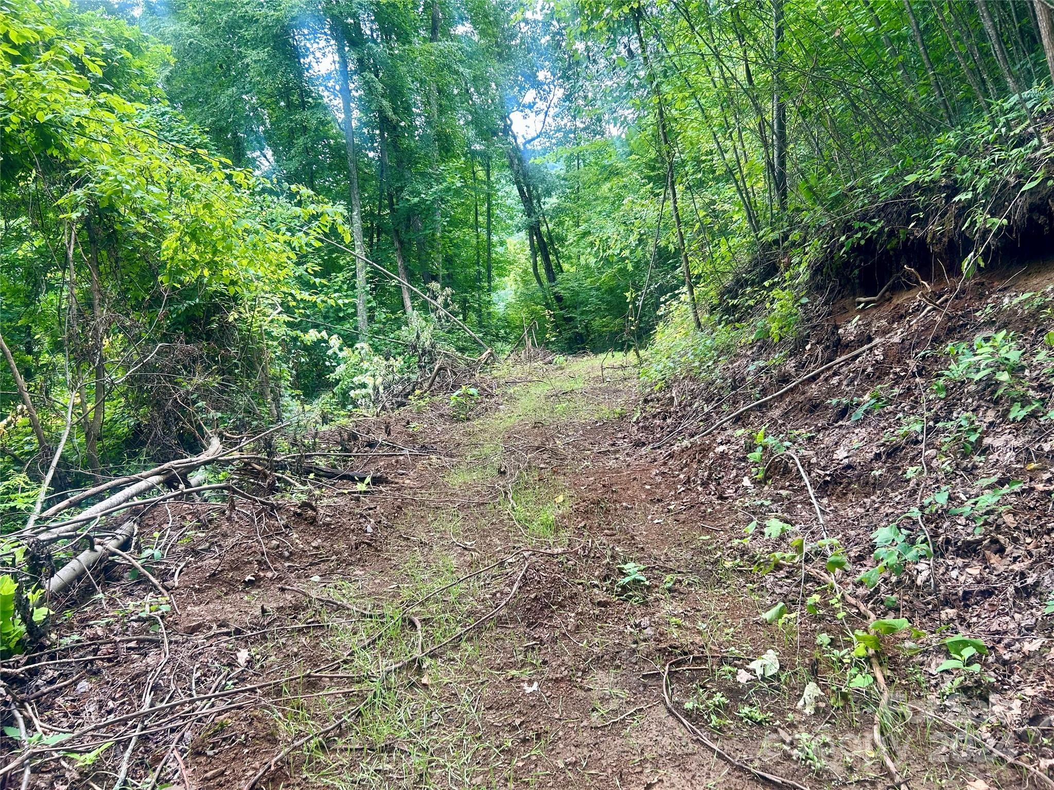 0 Campbell Creek Road Property Photo 18