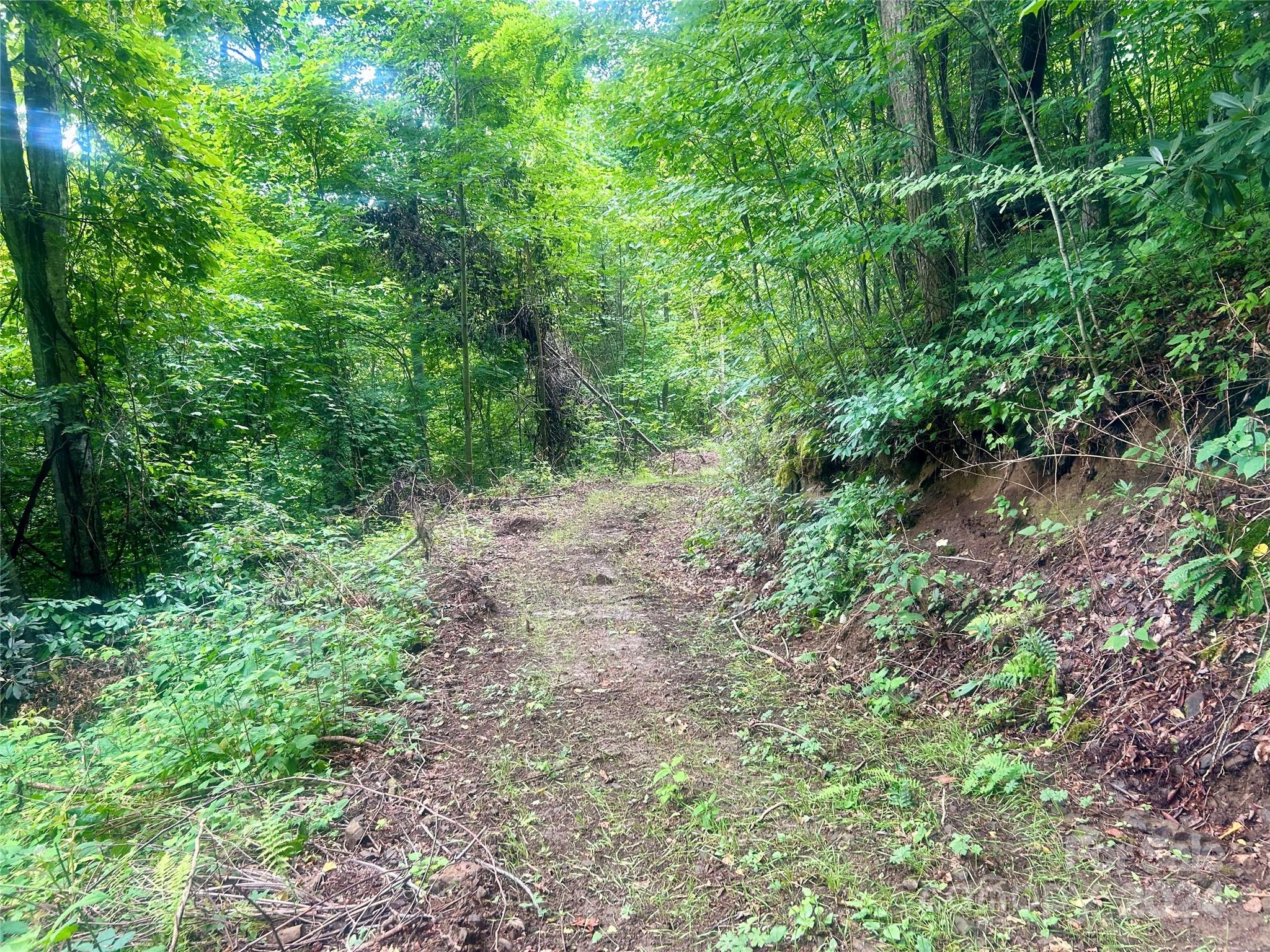 0 Campbell Creek Road Property Photo 19