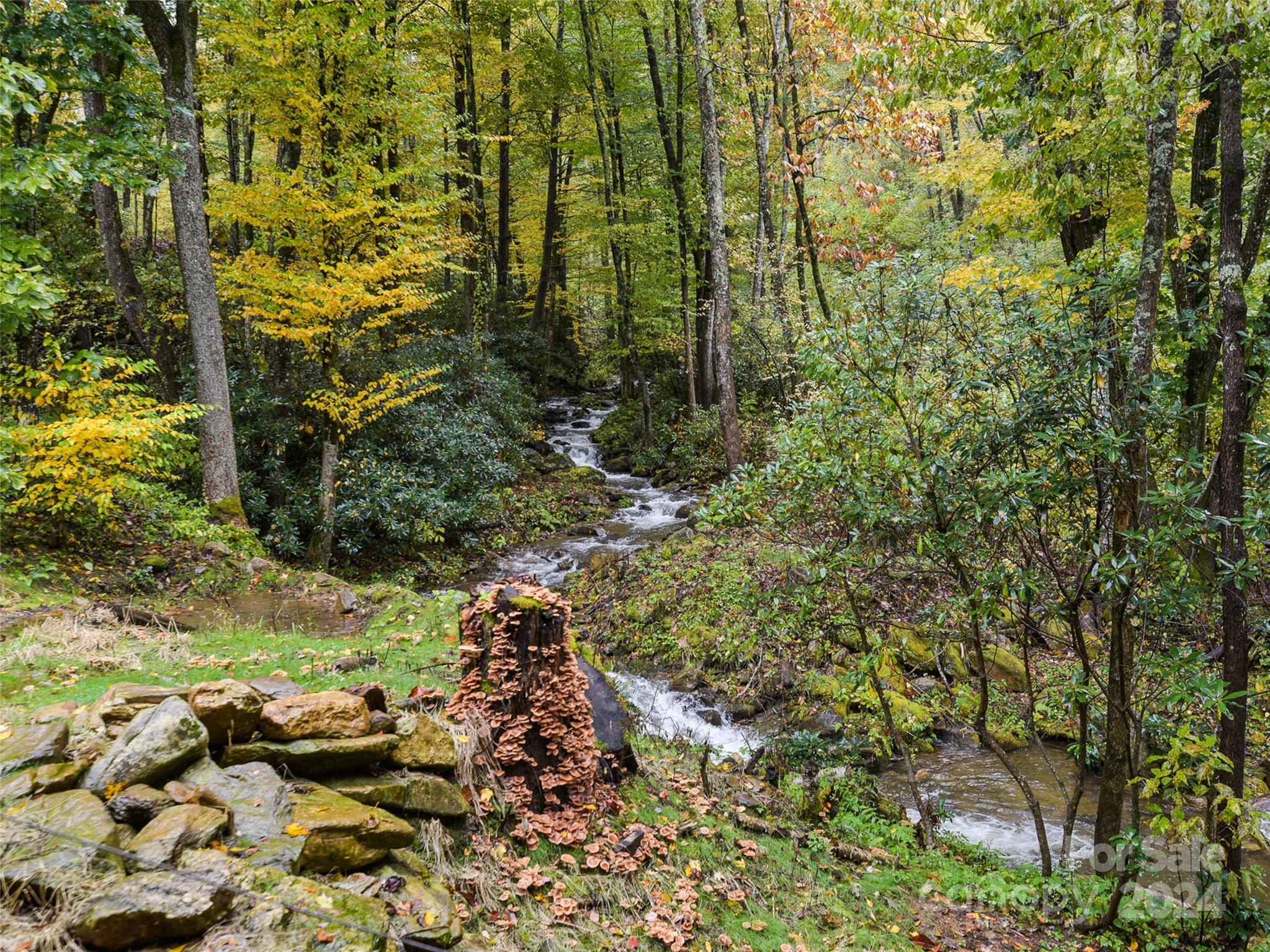 16 Gihon Waters Trail Property Photo 33