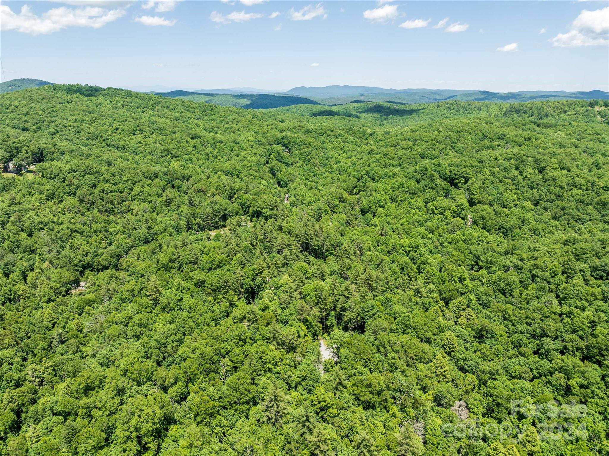 78 Smiling Fox Trail Property Photo 1