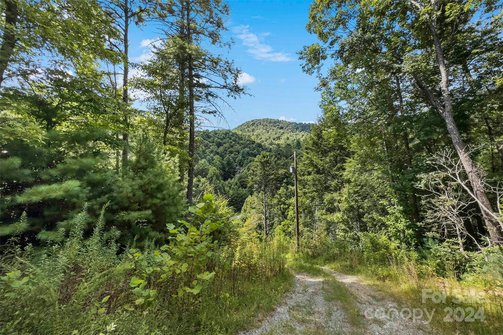 1265 Stackhouse Road Property Photo 5