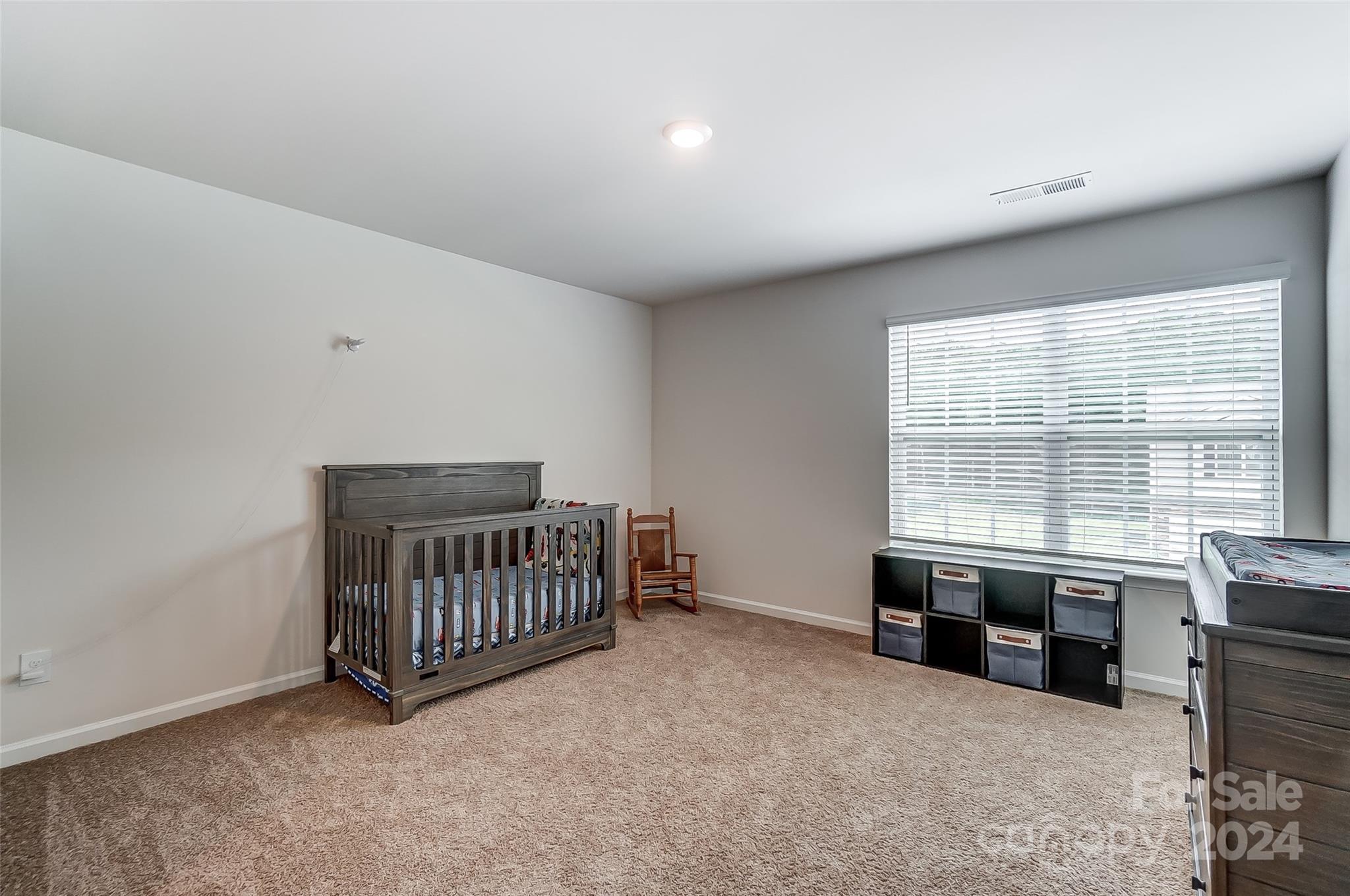 208 Wildflower Drive Property Photo 41