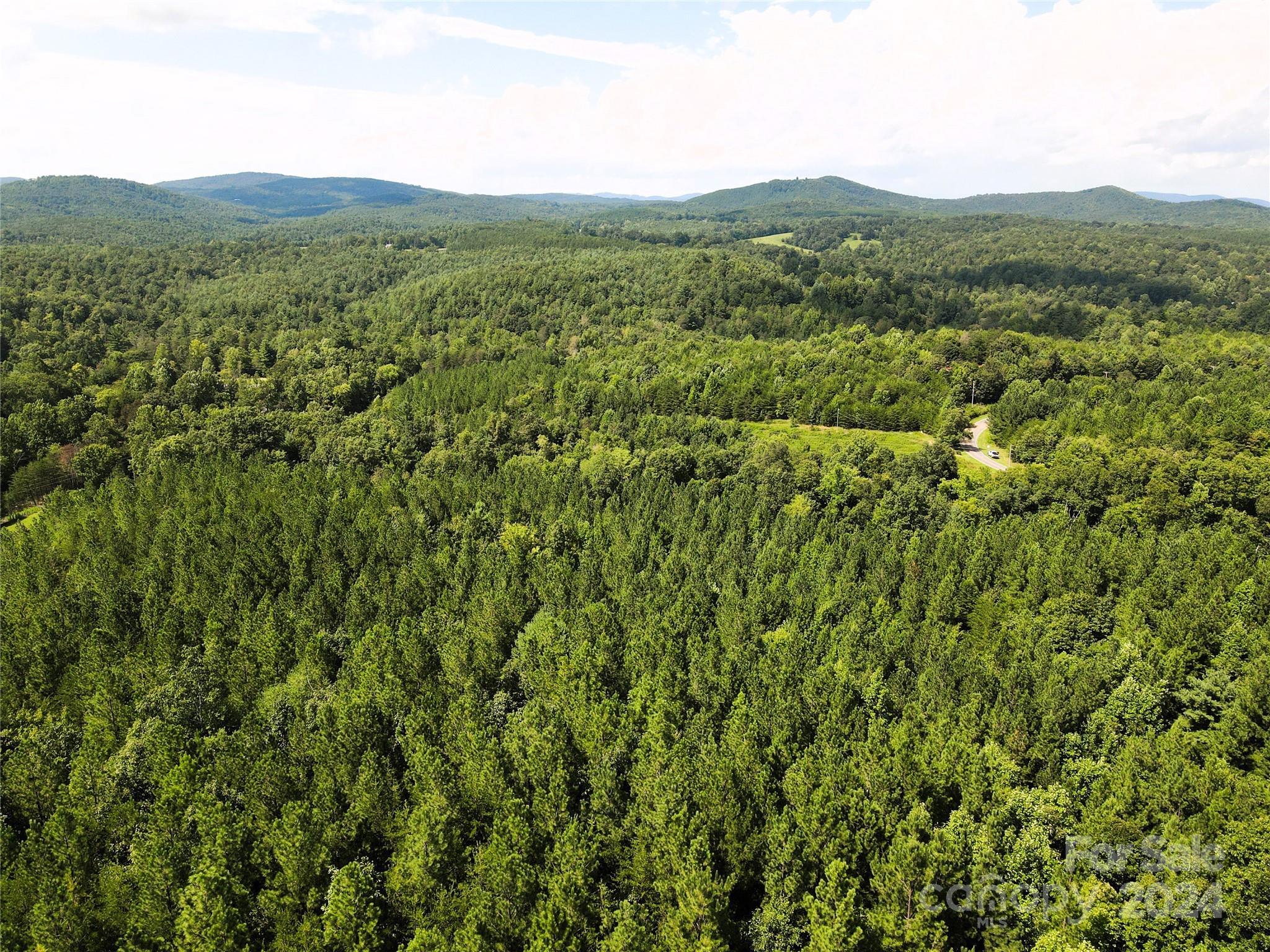 5157 Rhoney Road Property Photo 17