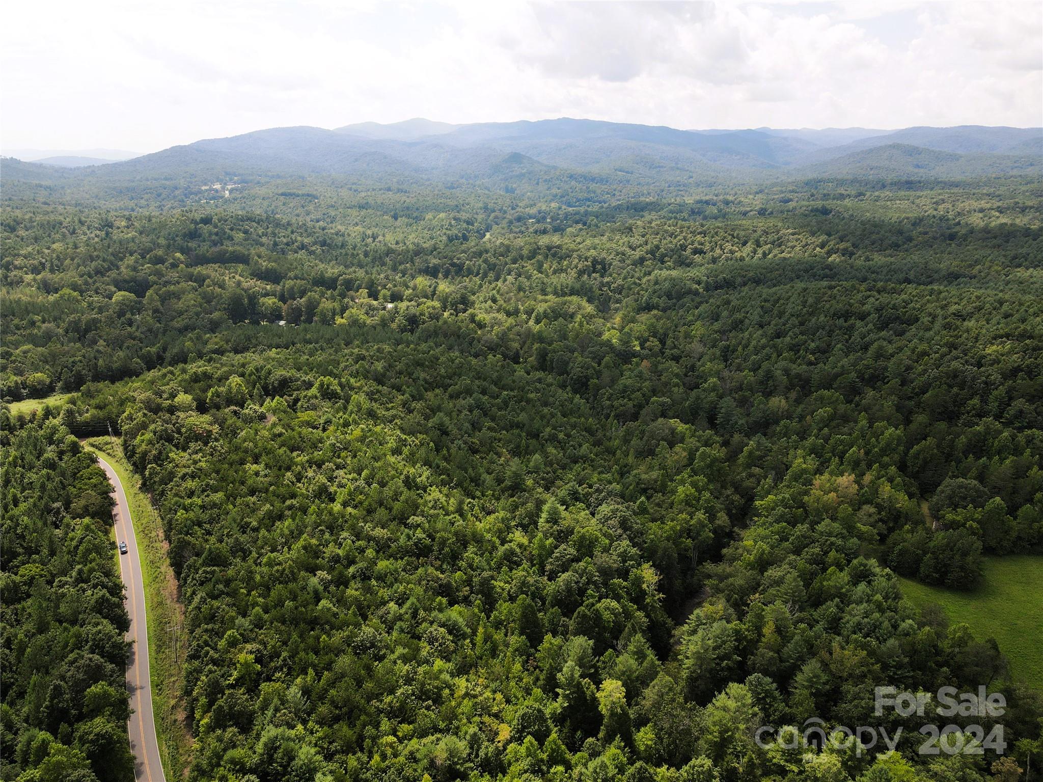 5157 Rhoney Road Property Photo 19