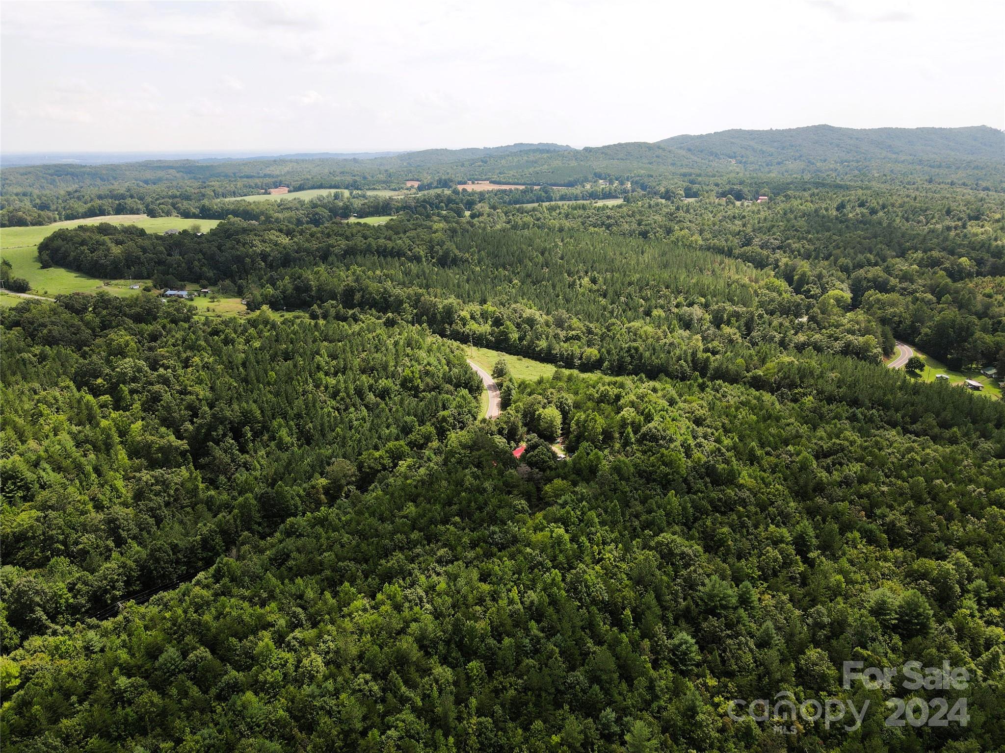 5157 Rhoney Road Property Photo 20