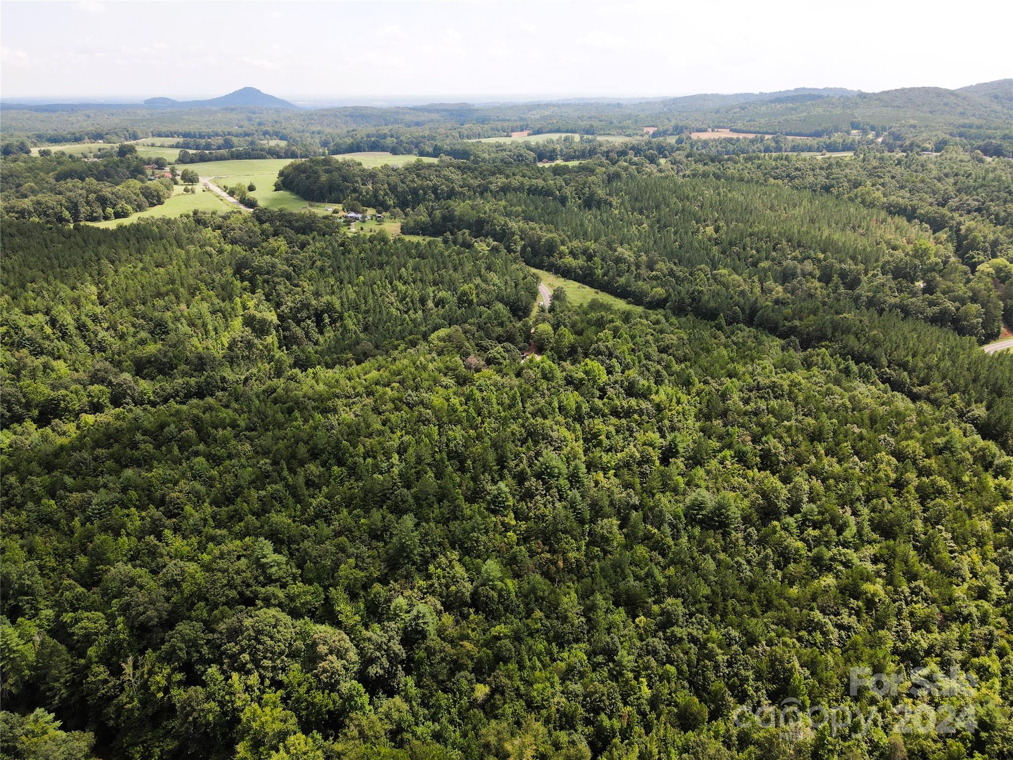 5157 Rhoney Road Property Photo 21