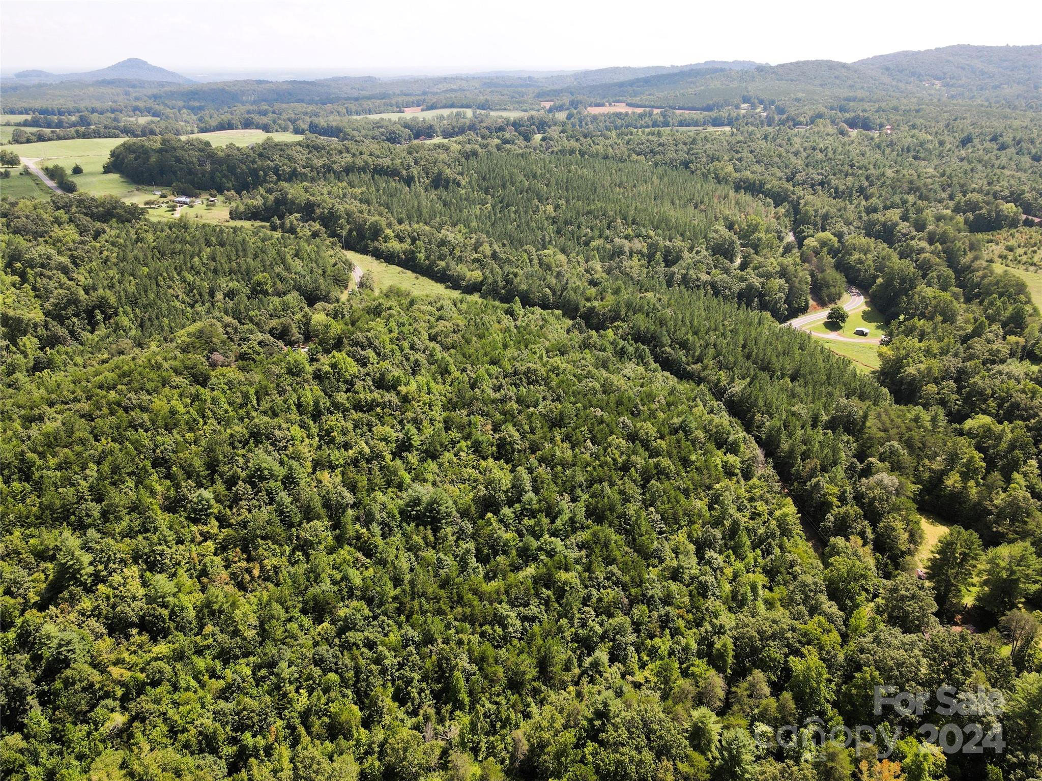 5157 Rhoney Road Property Photo 22
