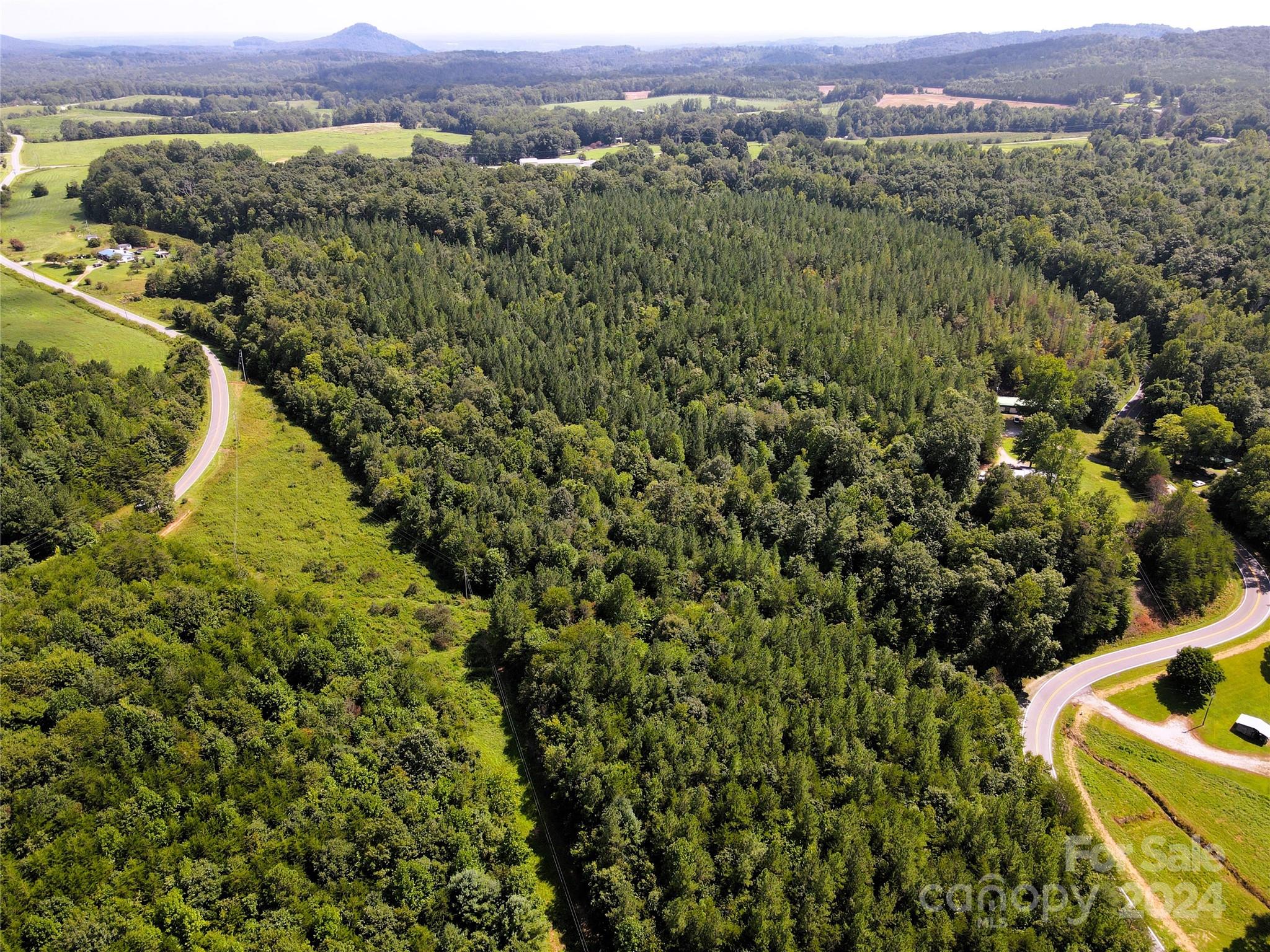5157 Rhoney Road Property Photo 24