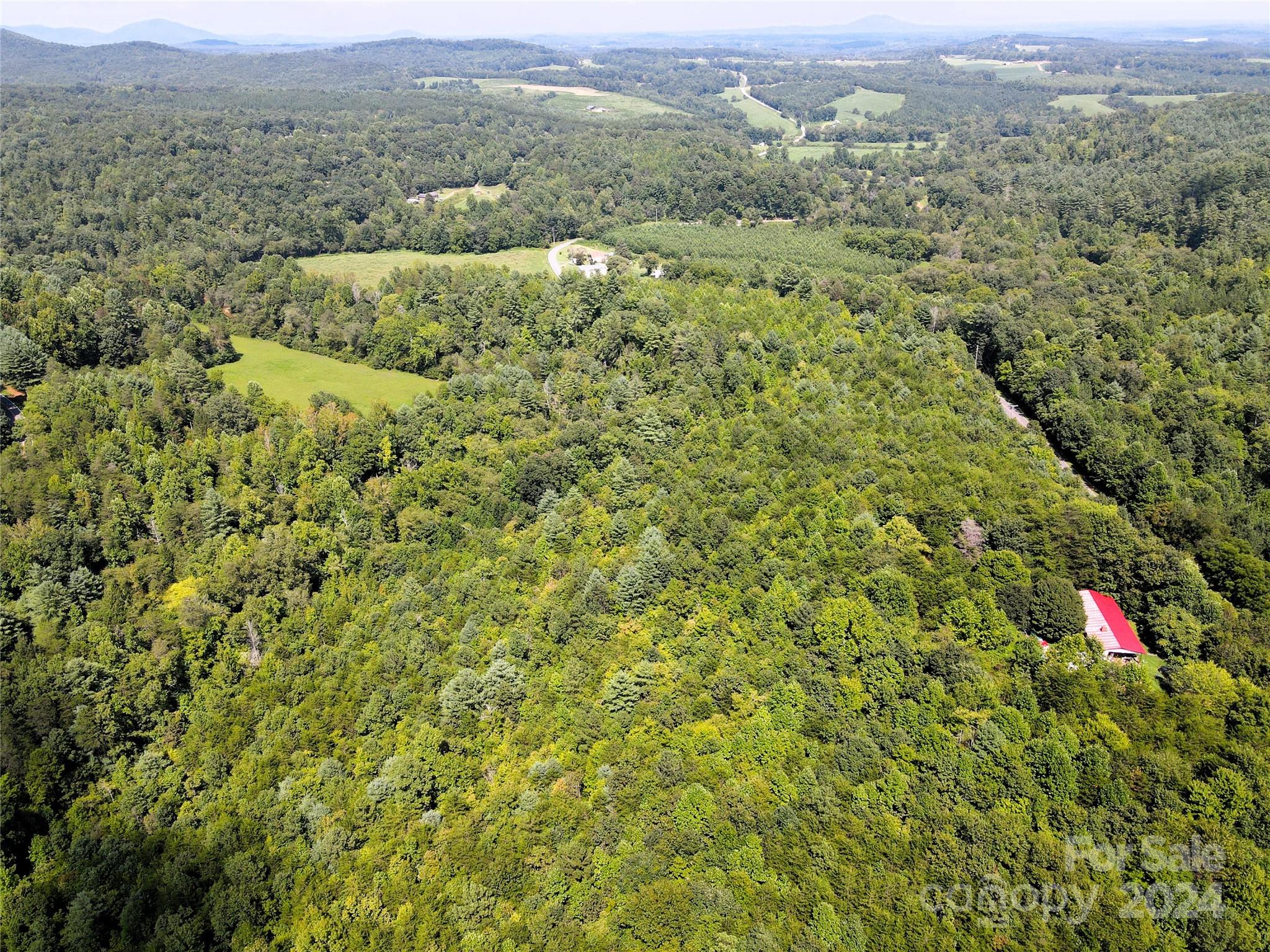 5157 Rhoney Road Property Photo 25