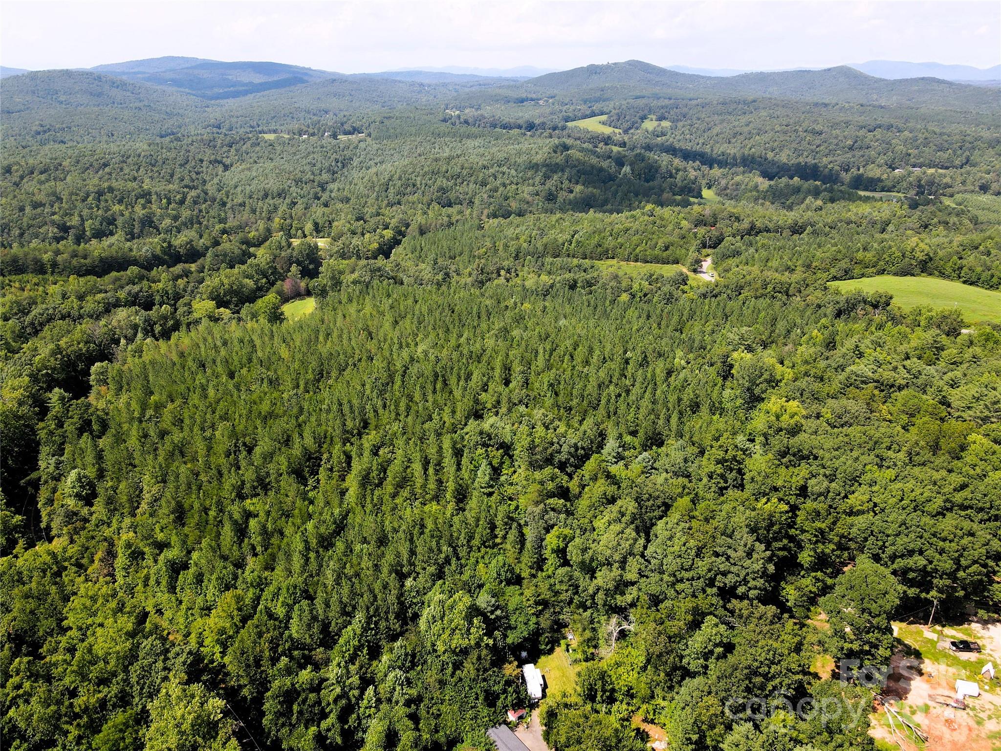 5157 Rhoney Road Property Photo 27