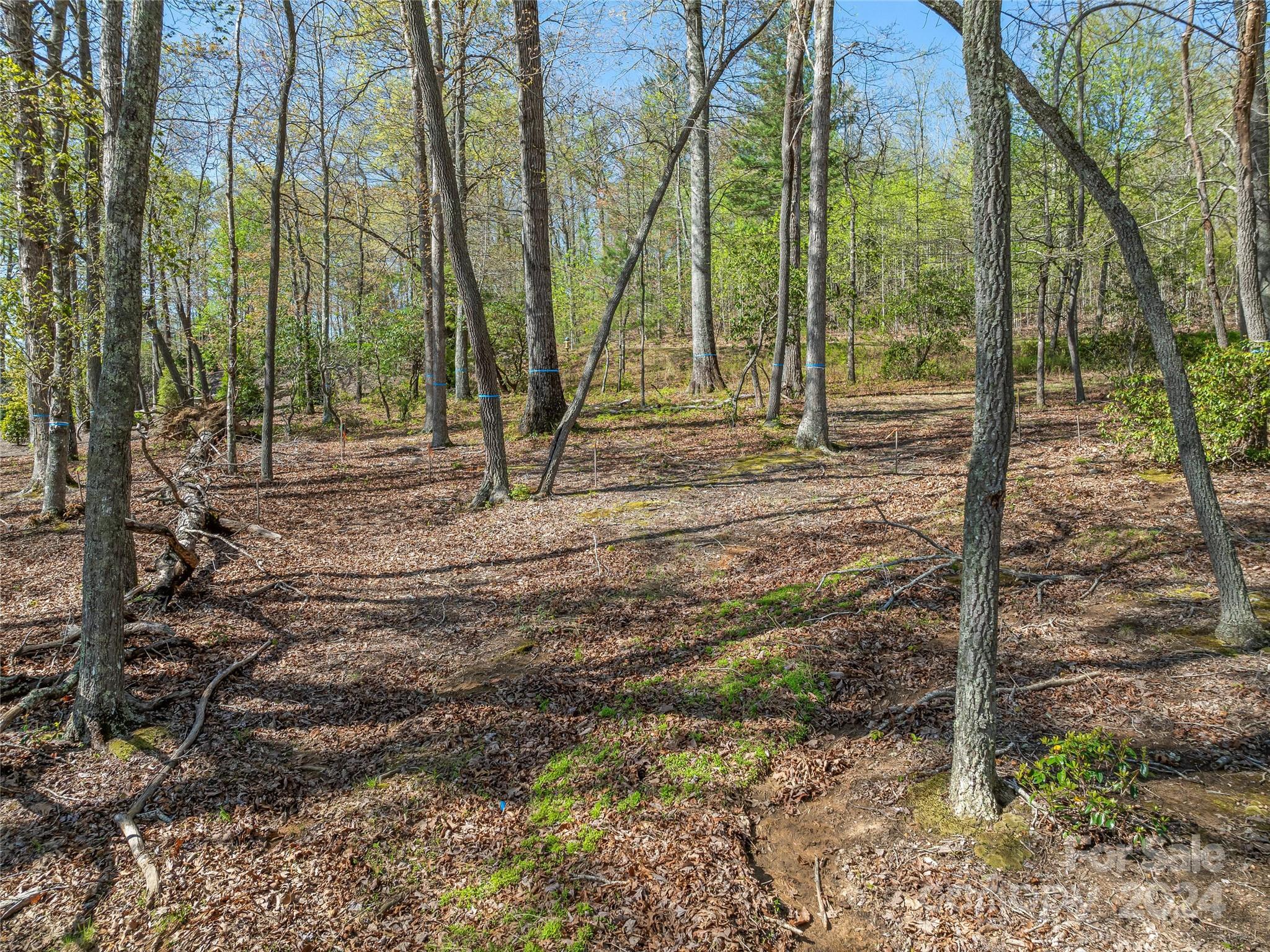 550 Walnut Valley Parkway 153 Property Photo 12