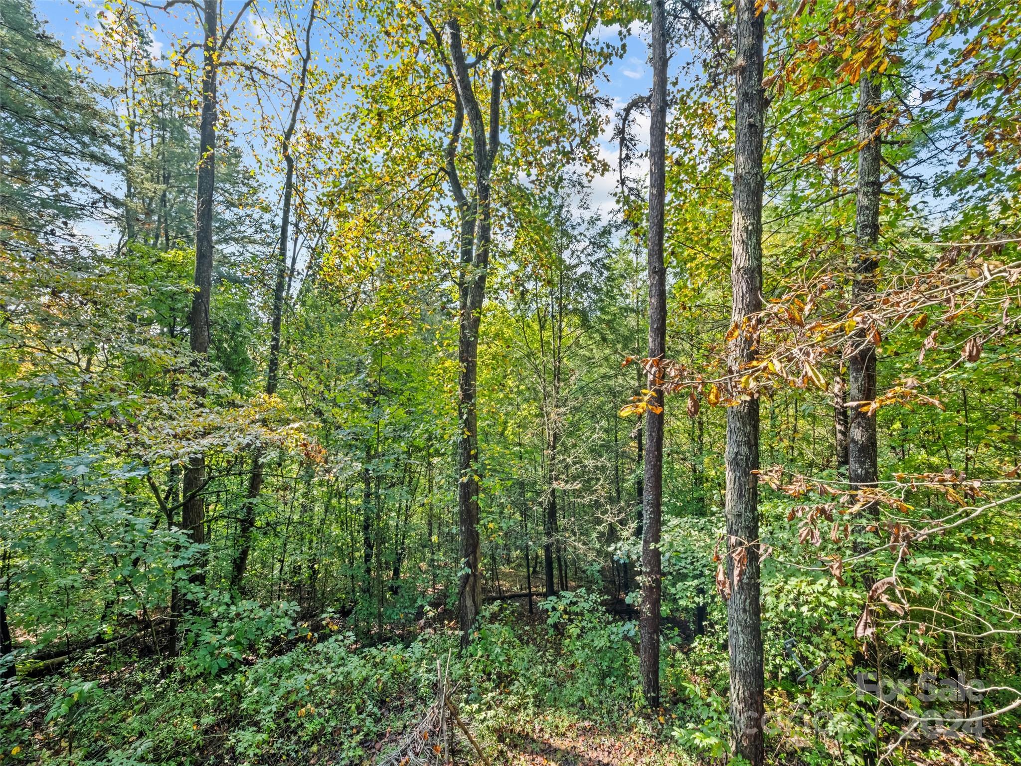 626 Rustic Heights Road Property Photo 5