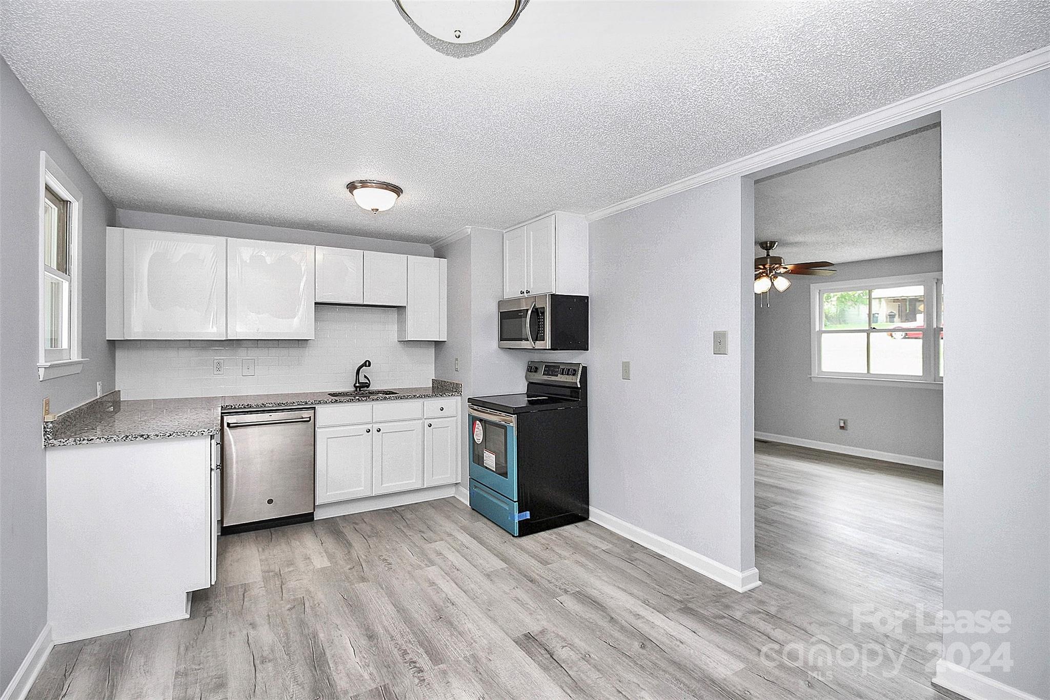 1613 Ohenry Lane Property Photo 4