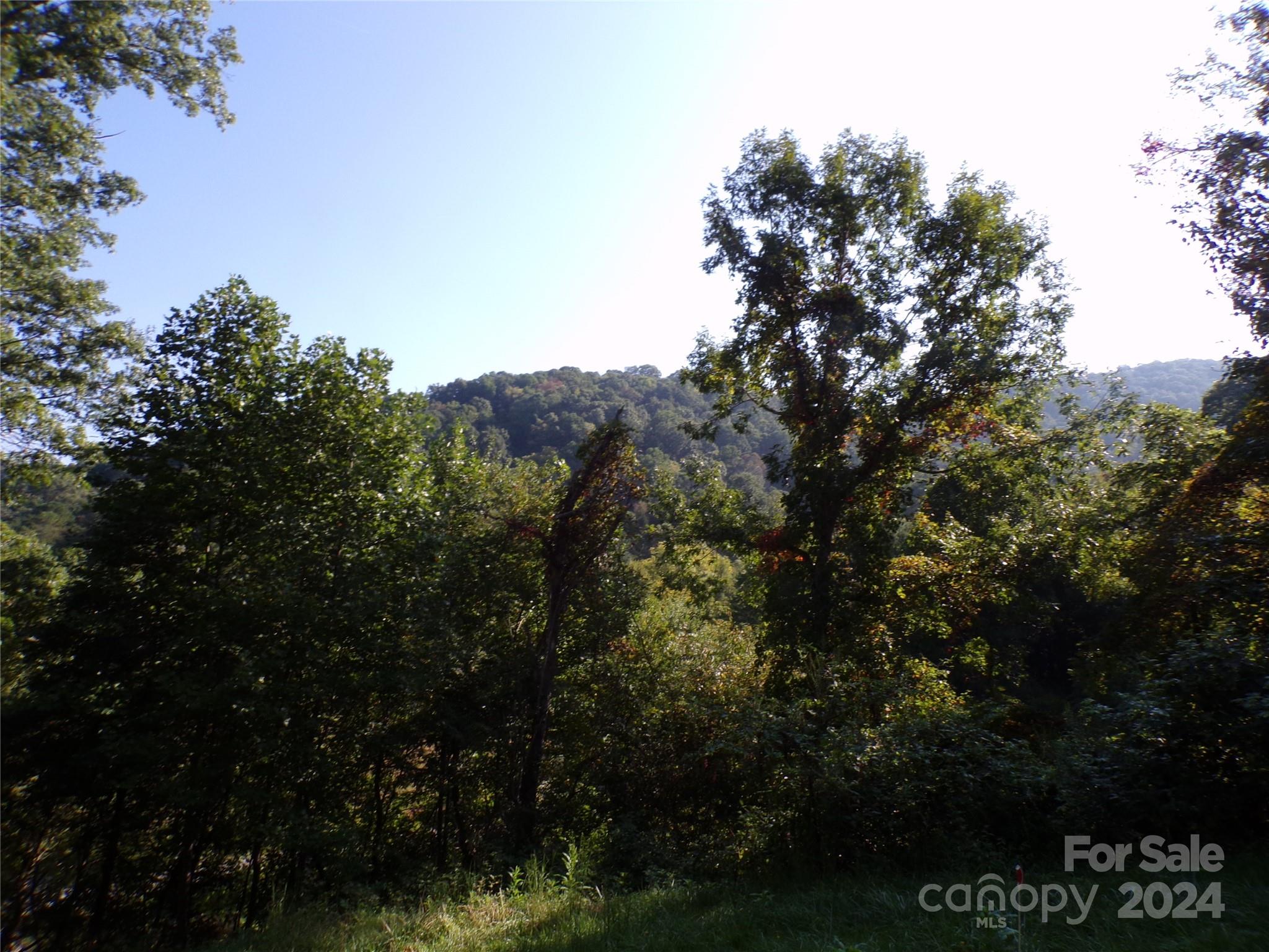 4 Mayapple Lane Property Photo 3