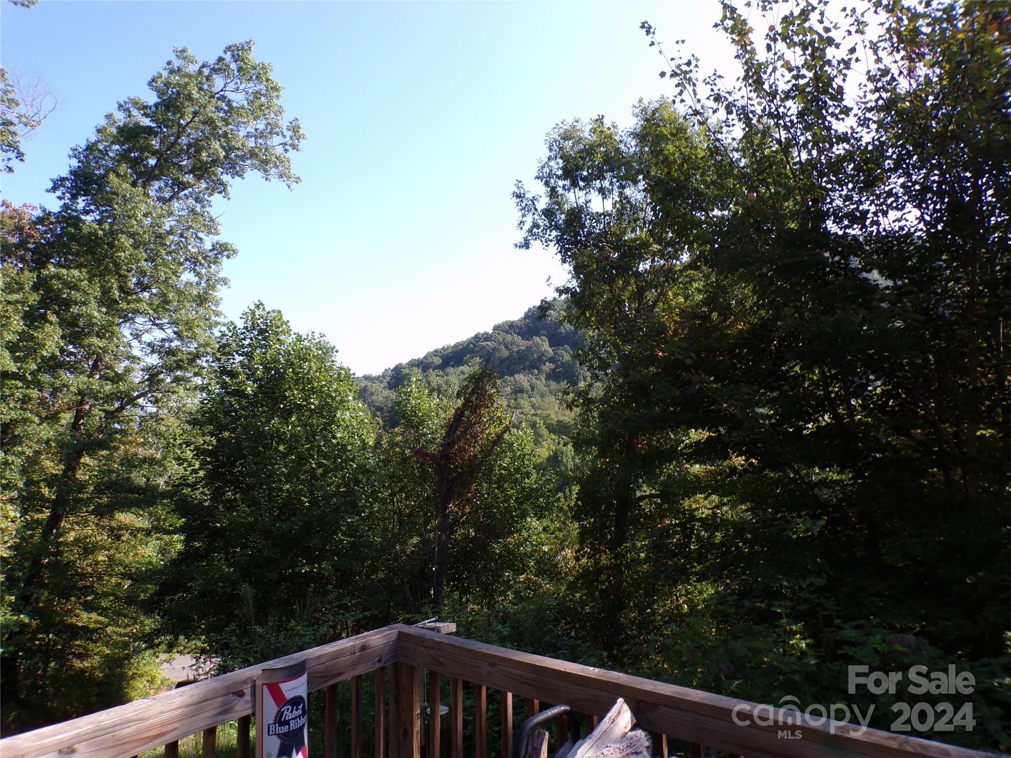 4 Mayapple Lane Property Photo 8