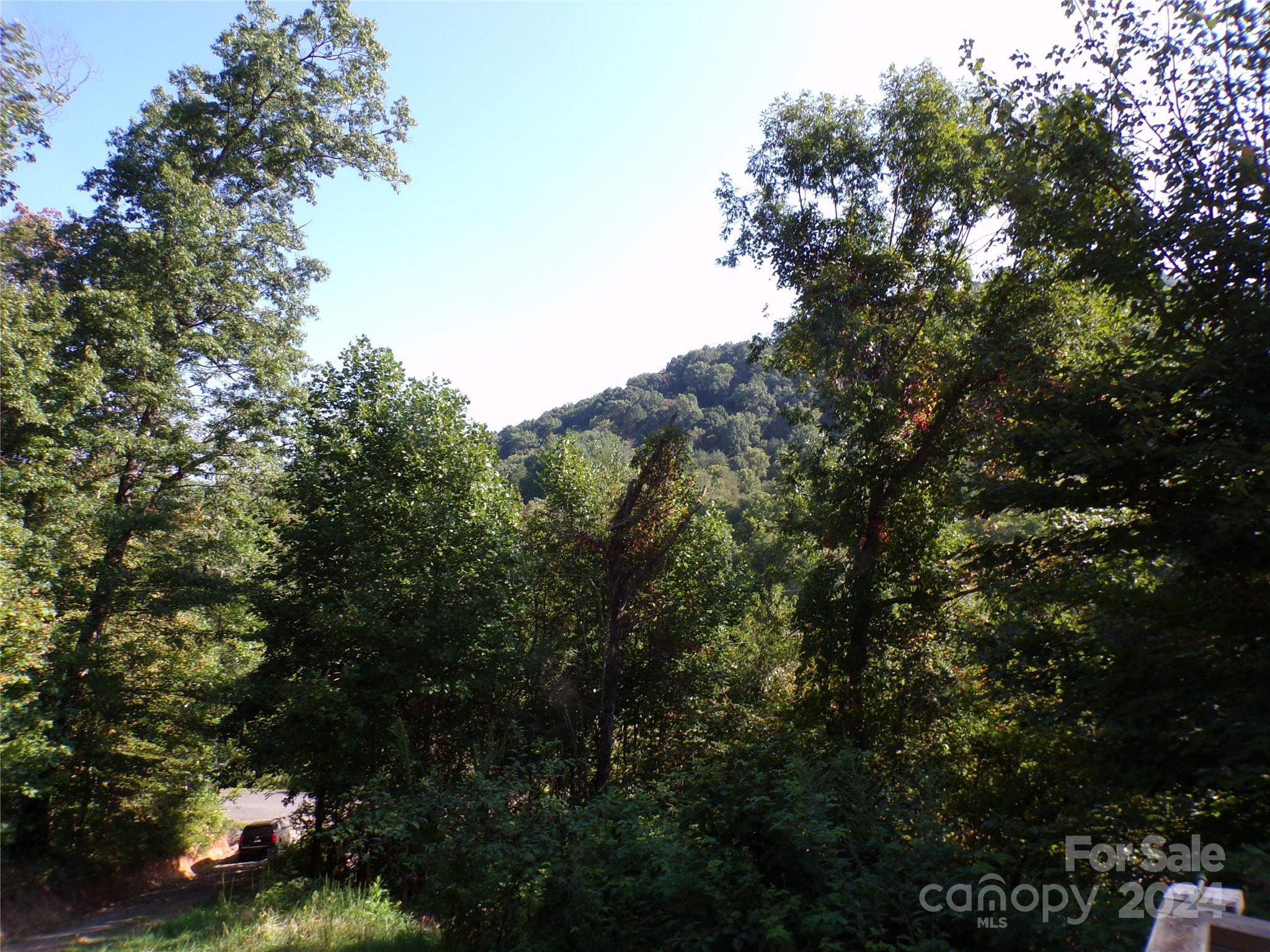 4 Mayapple Lane Property Photo 10
