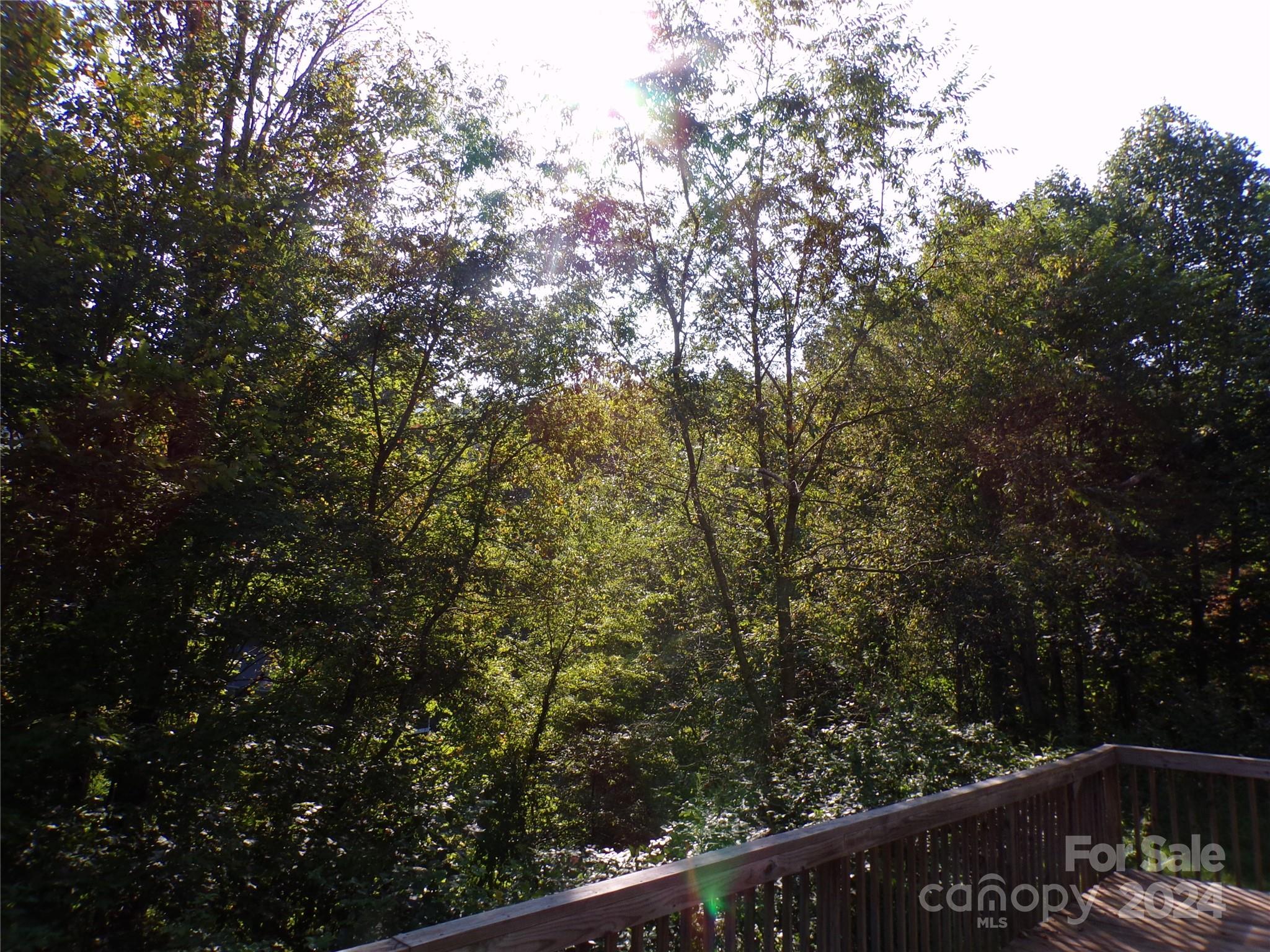 4 Mayapple Lane Property Photo 11