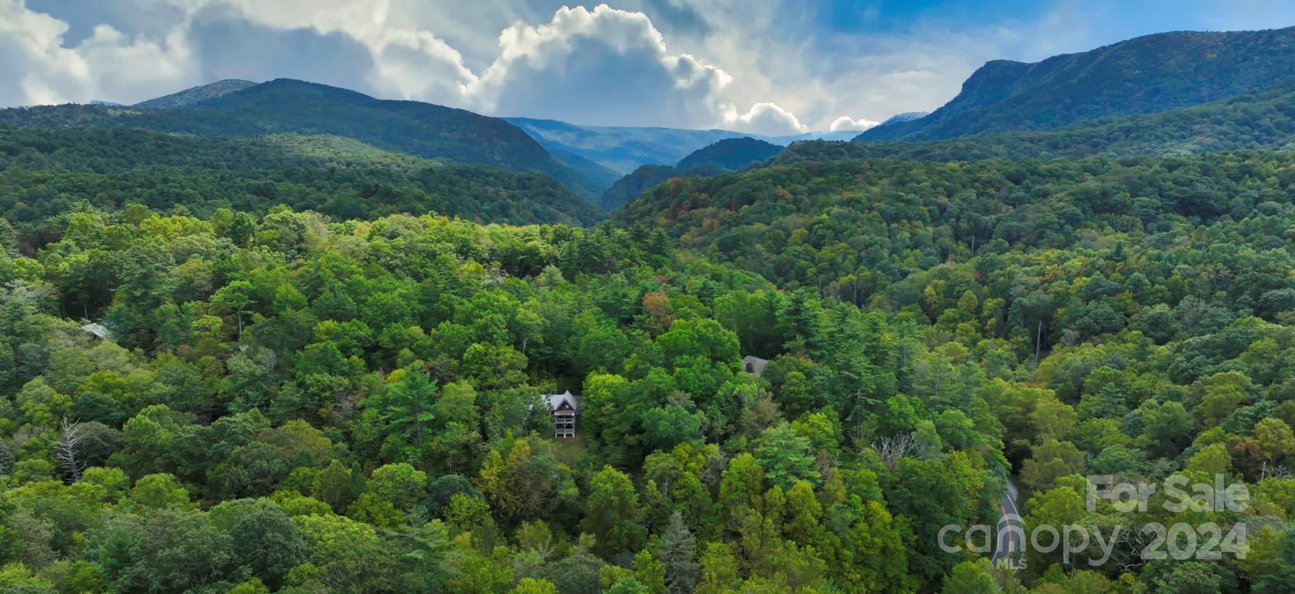 23022 Linville Falls Highway Property Photo 41