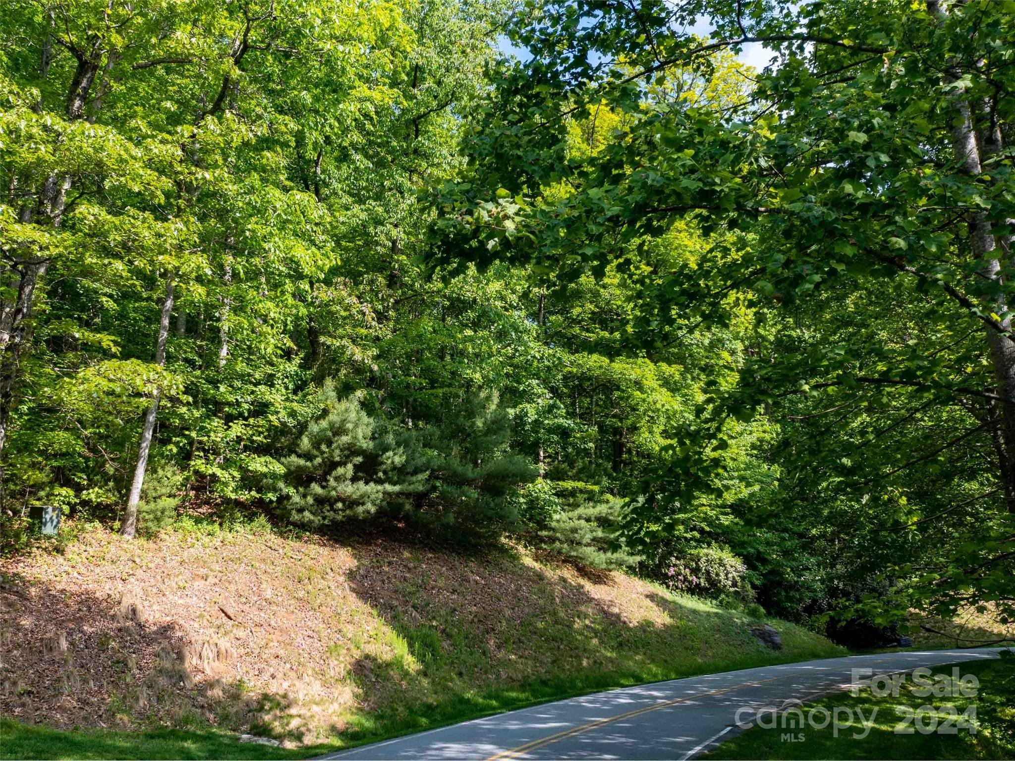 166 Chattooga Run 293 Property Photo 2