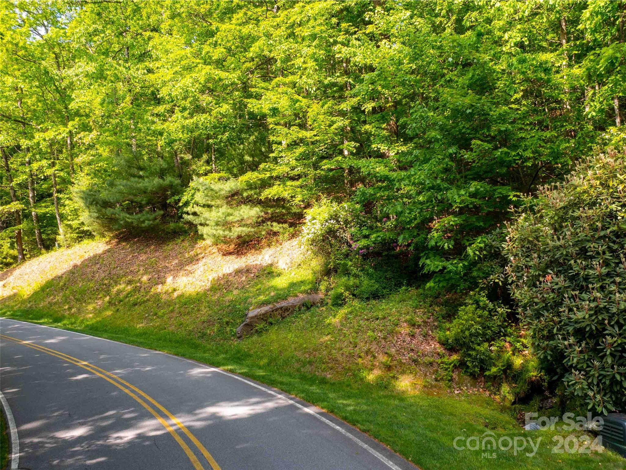 166 Chattooga Run 293 Property Photo 3