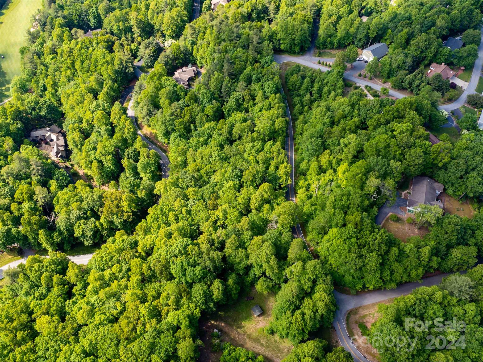 166 Chattooga Run 293 Property Photo 8