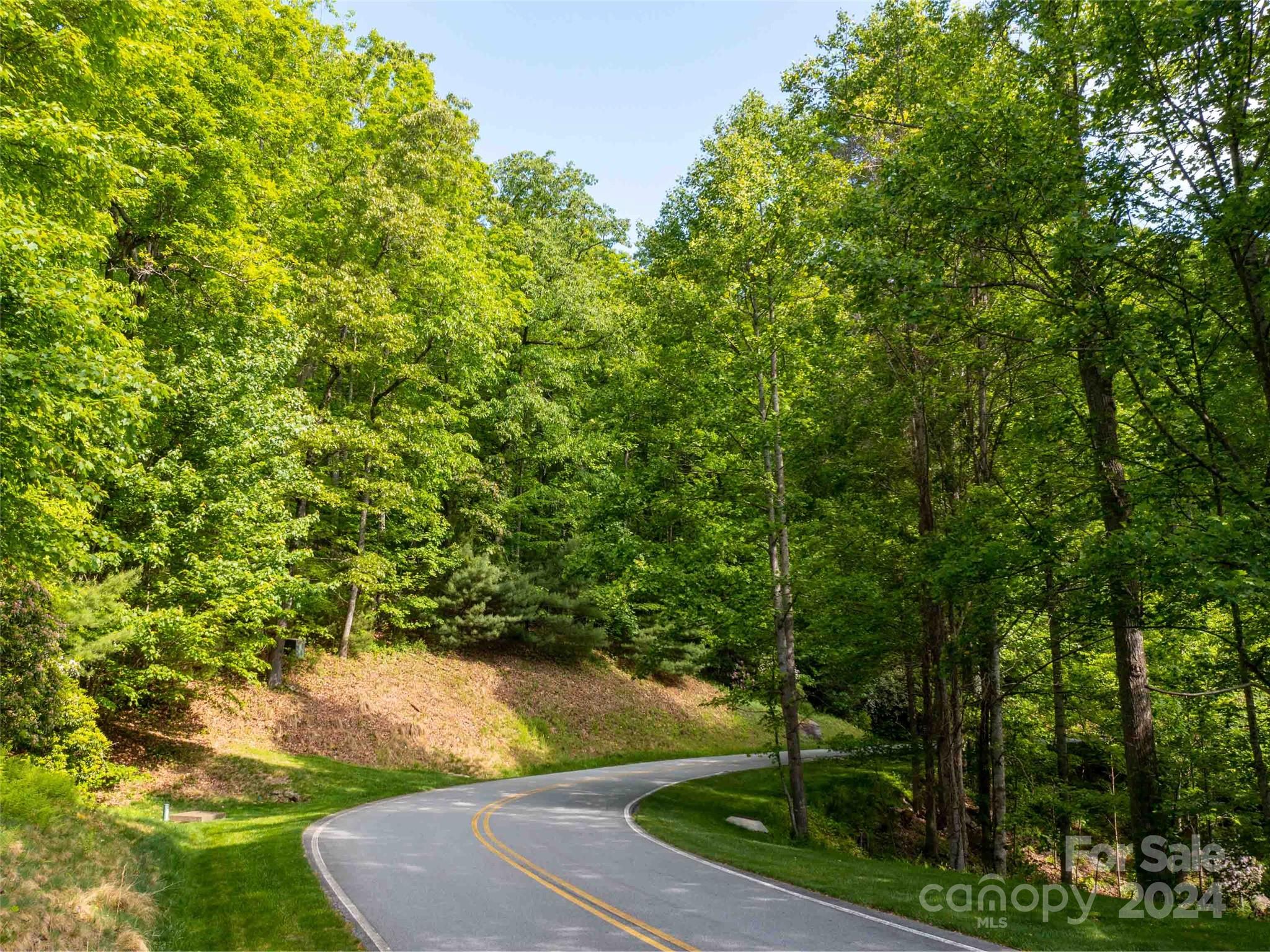 166 Chattooga Run 293 Property Photo 11