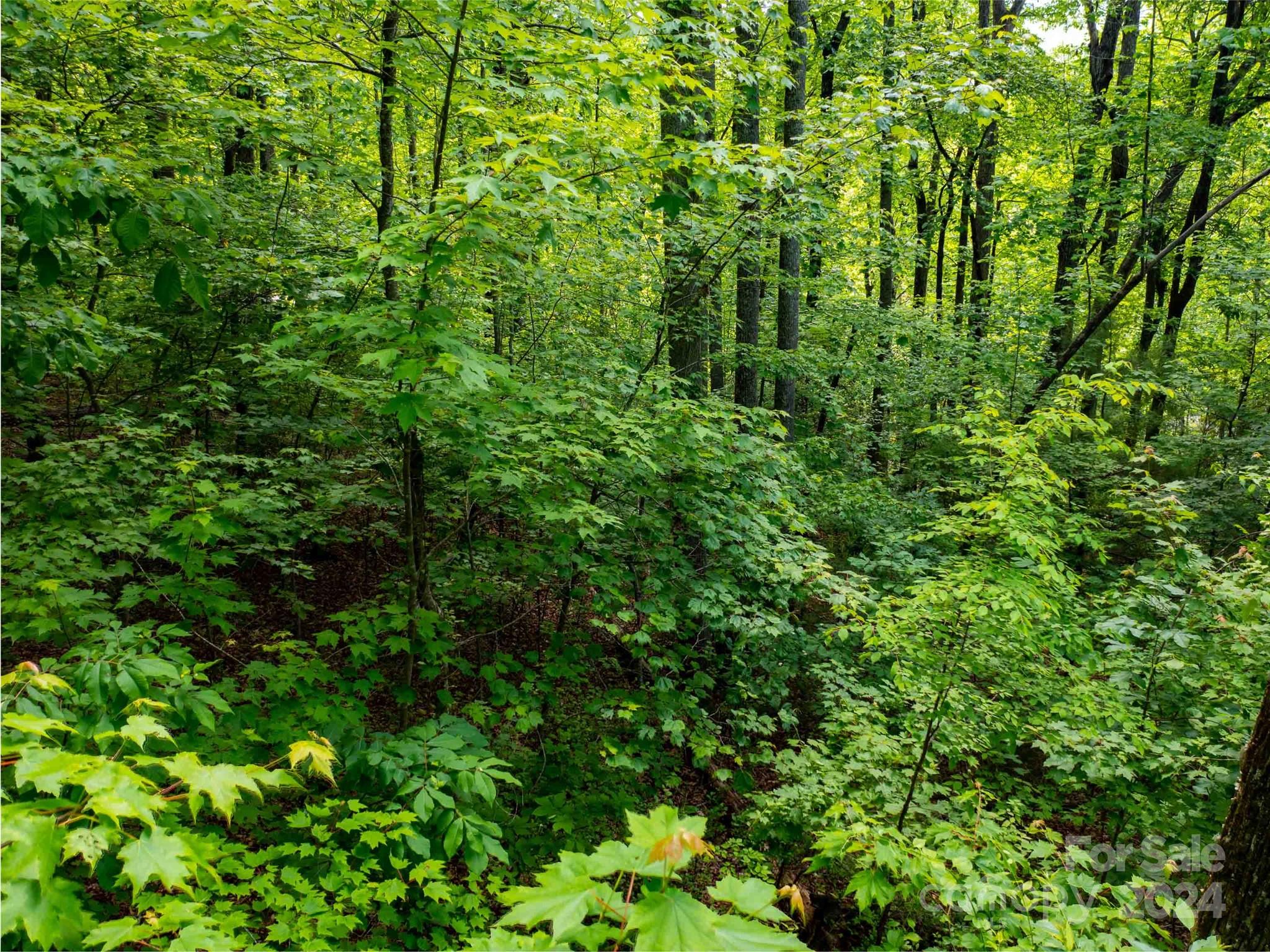 166 Chattooga Run 293 Property Photo 14