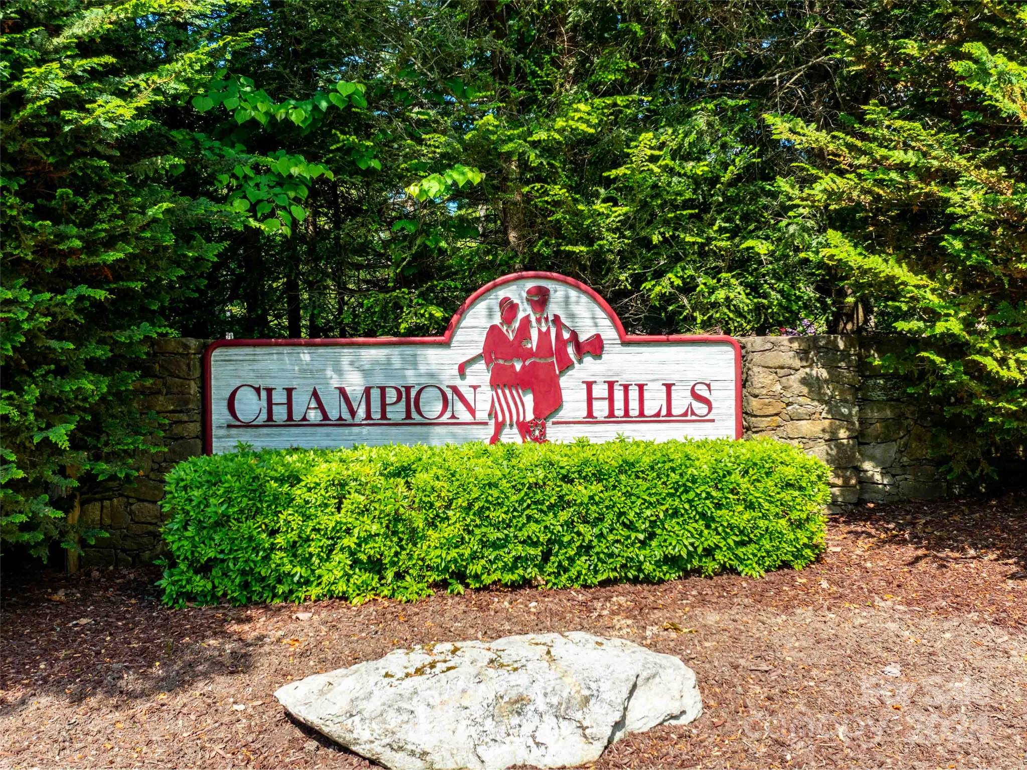 166 Chattooga Run 293 Property Photo 15