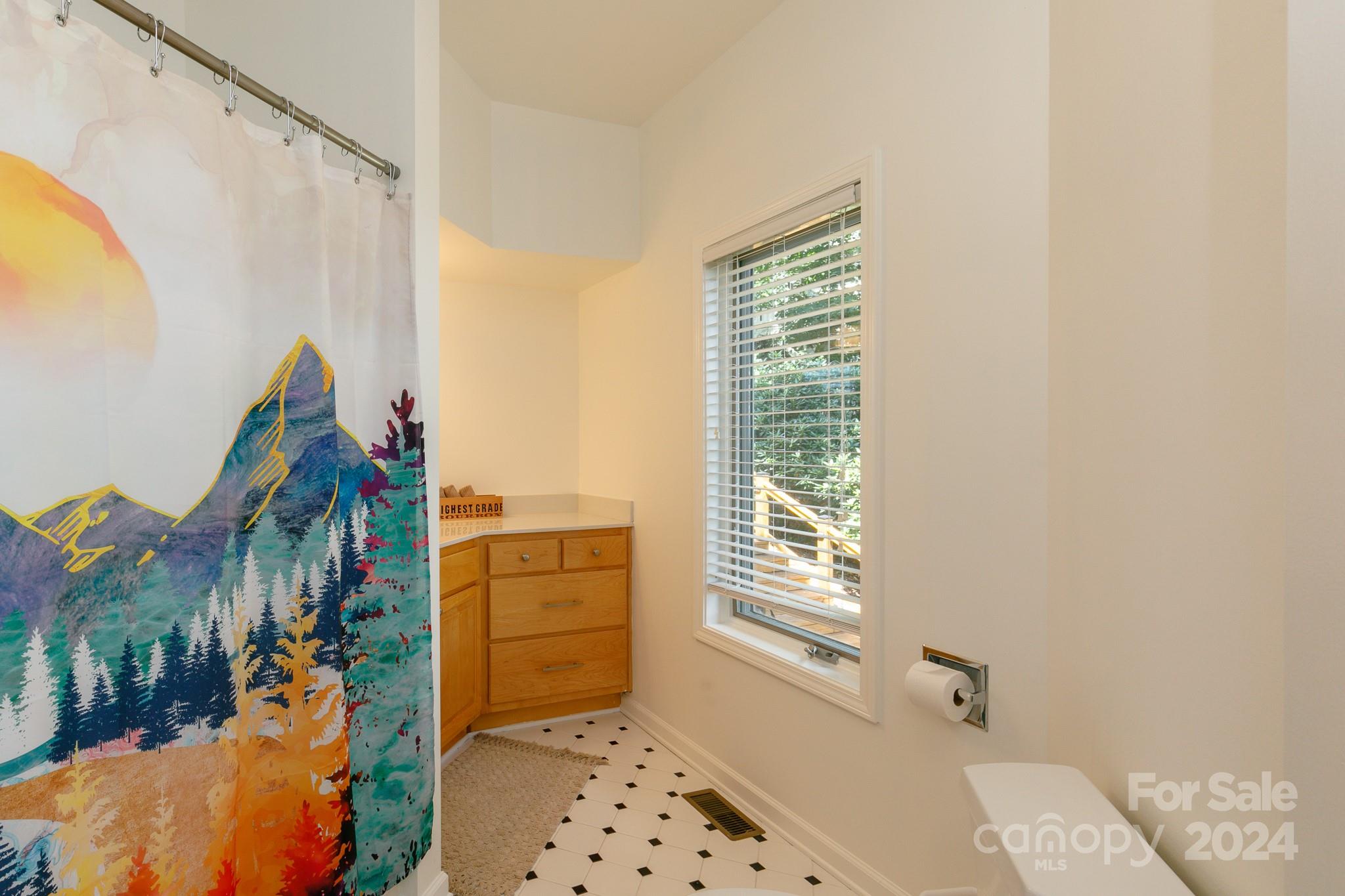 410 Springhouse Drive Property Photo 34