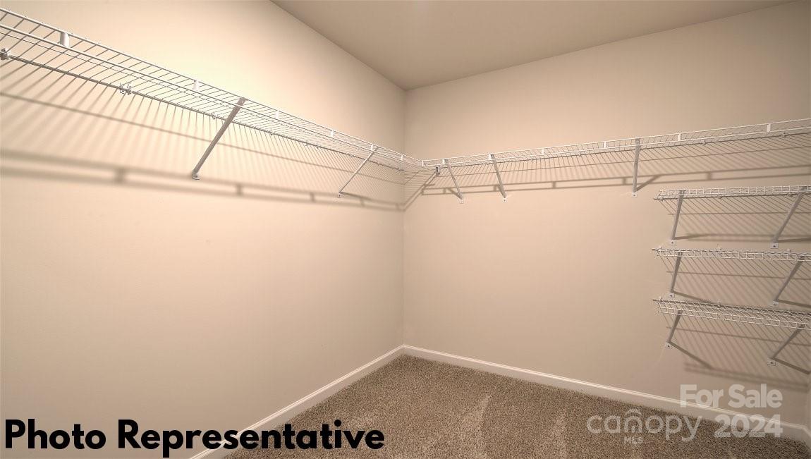 12 Burdock Road Property Photo 26