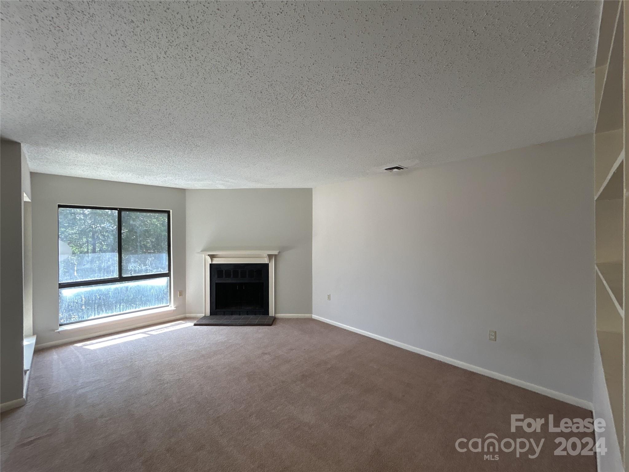 4804 Spring Lake Drive E Property Photo 3