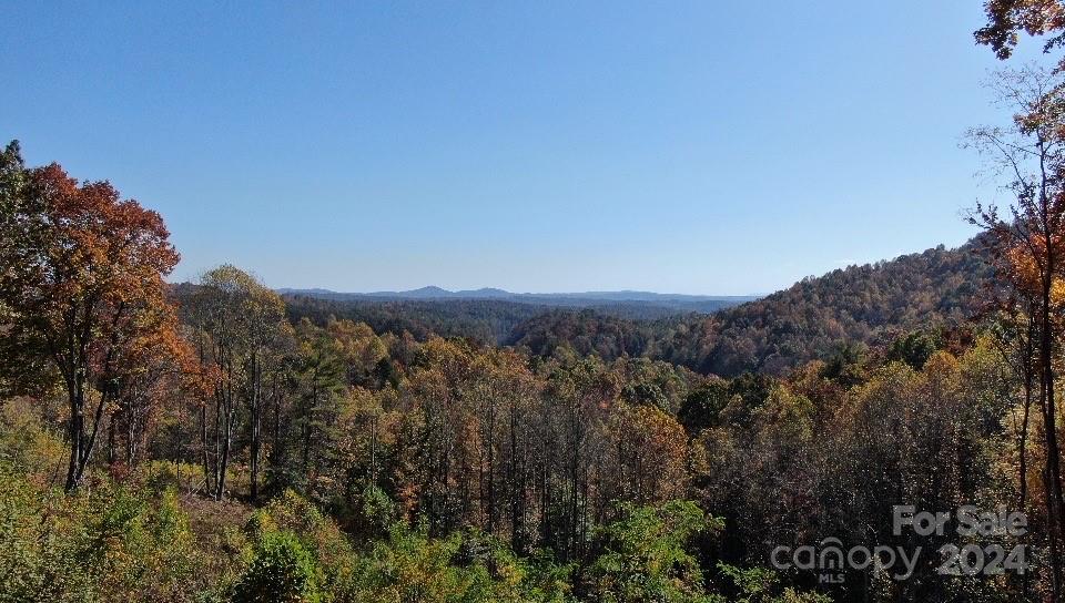 Lot 521 White Oak Way Property Photo