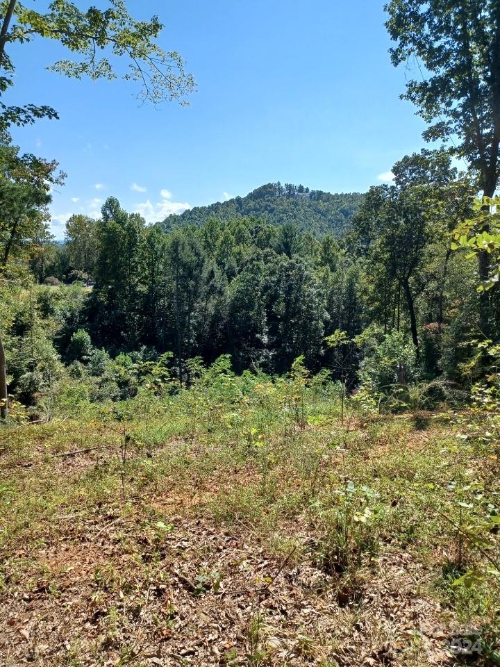 Lot 516 White Oak Way Property Photo