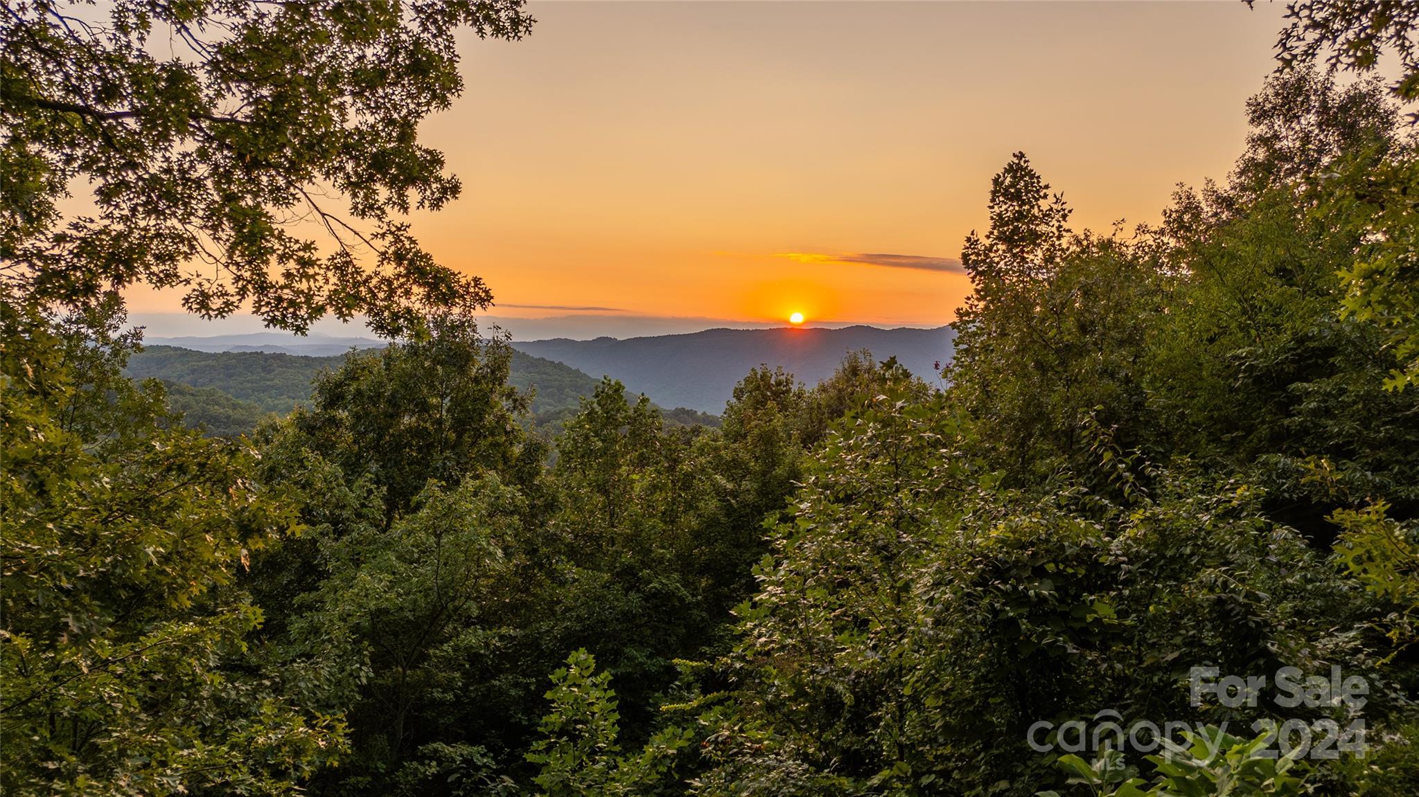 130 Piney Ridge Lane Property Photo 4