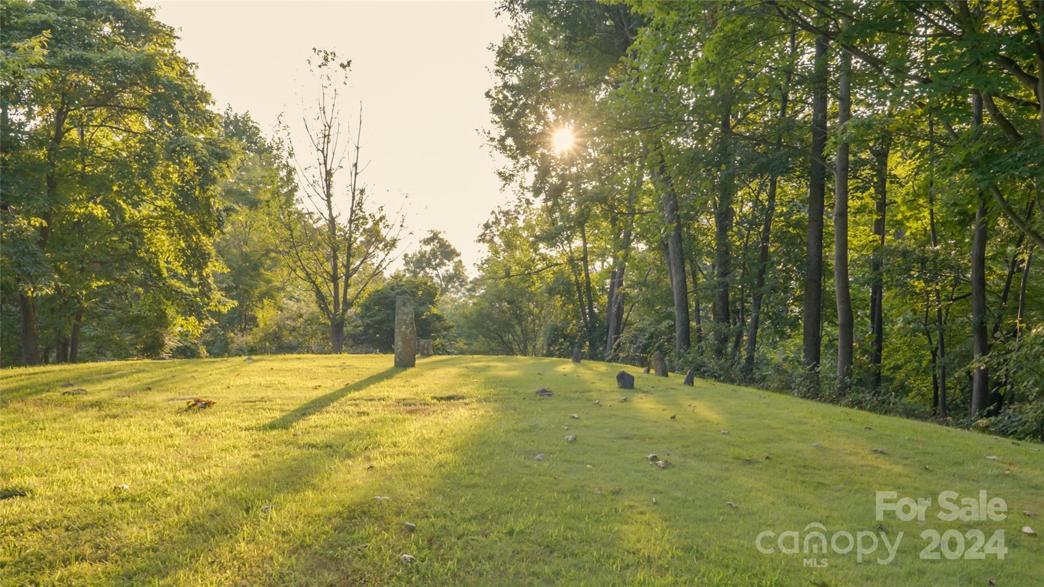 130 Piney Ridge Lane Property Photo 43