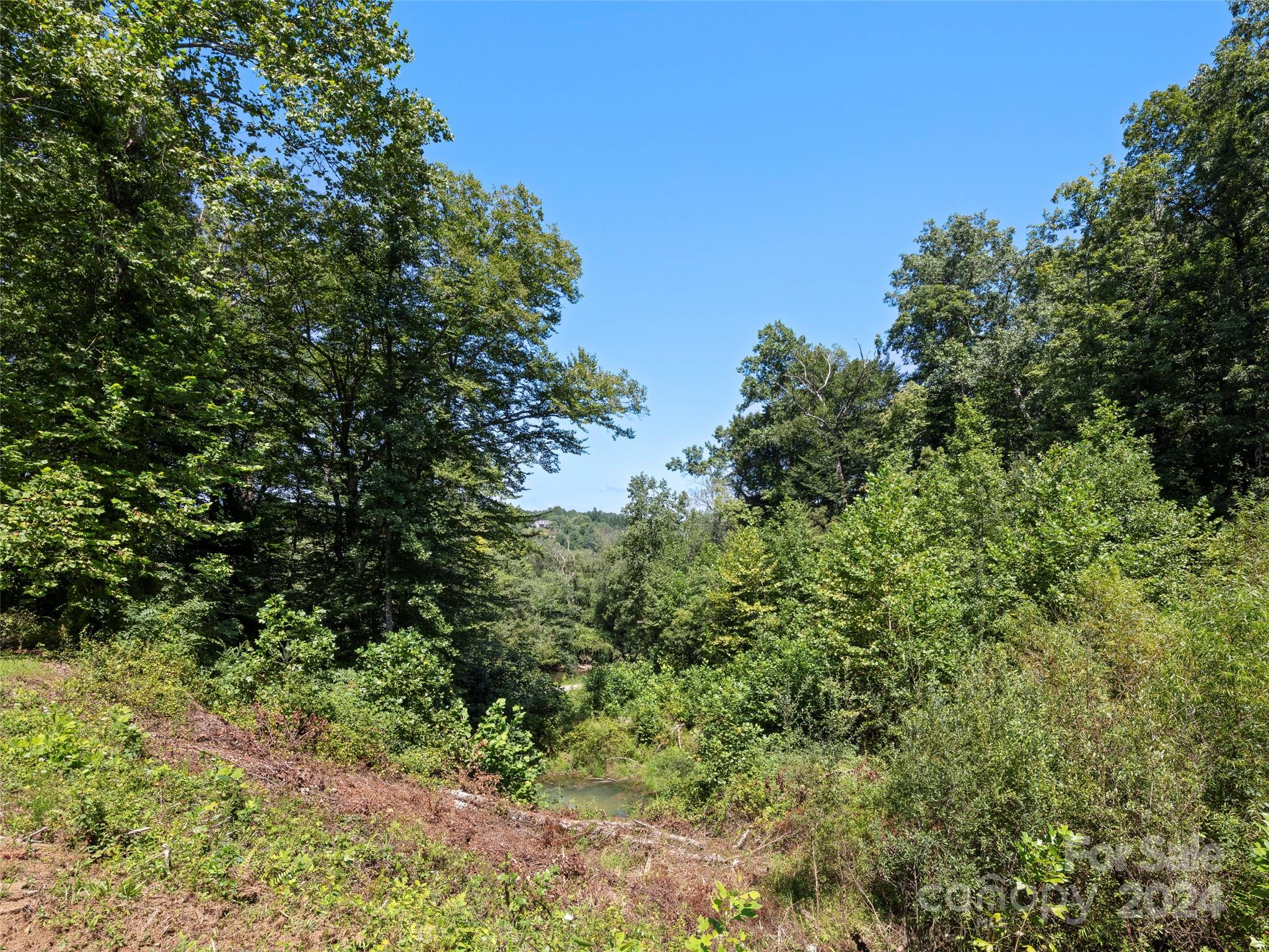 4901 Brevard Road Property Photo 38
