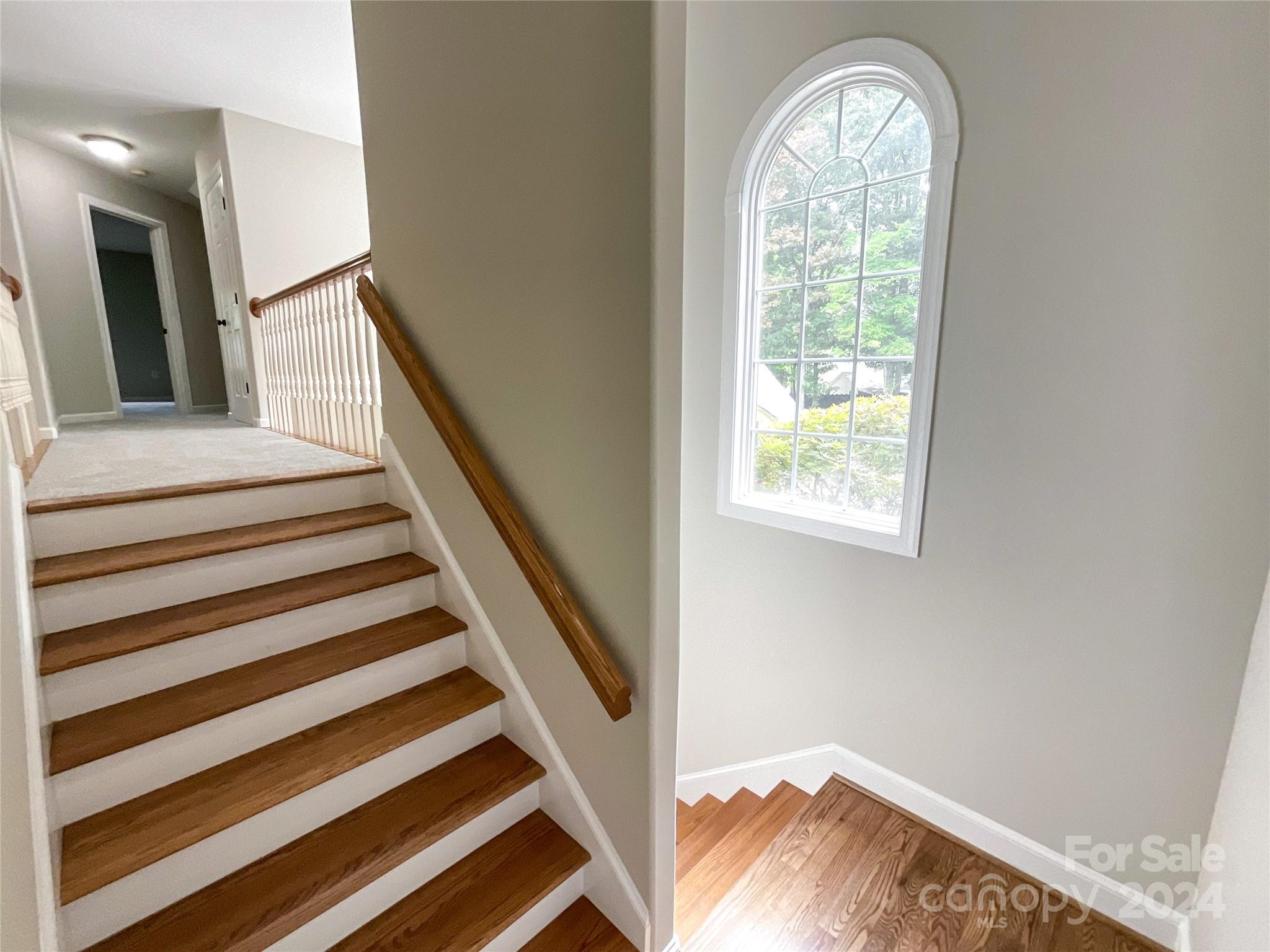 2510 Doster Road Property Photo 24
