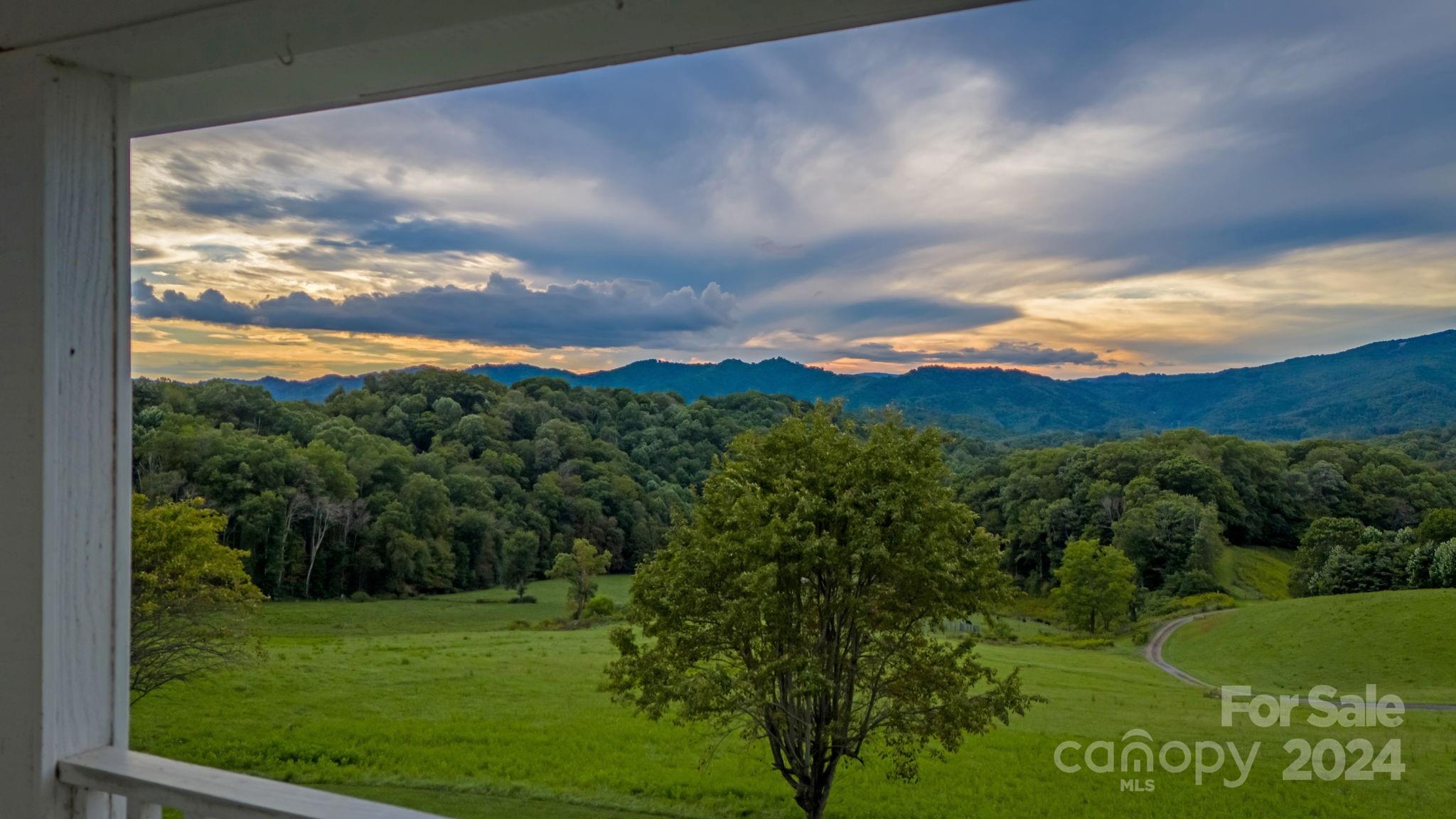 840 Ed Williams Road Property Photo 5