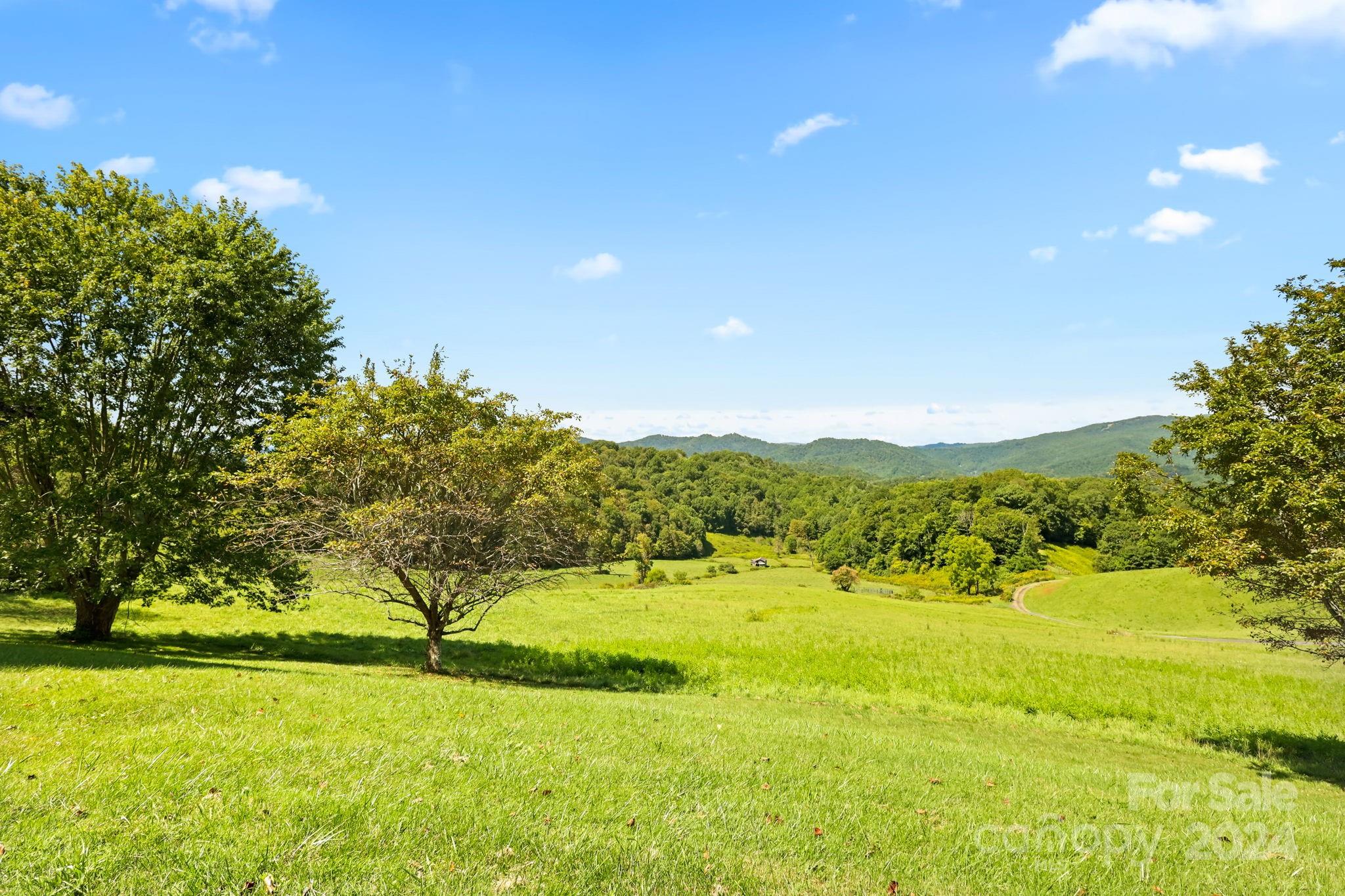 840 Ed Williams Road Property Photo 17