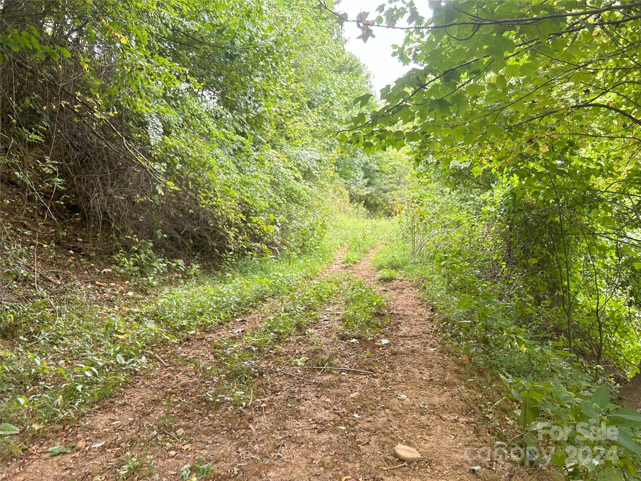 840 Ed Williams Road Property Photo 28
