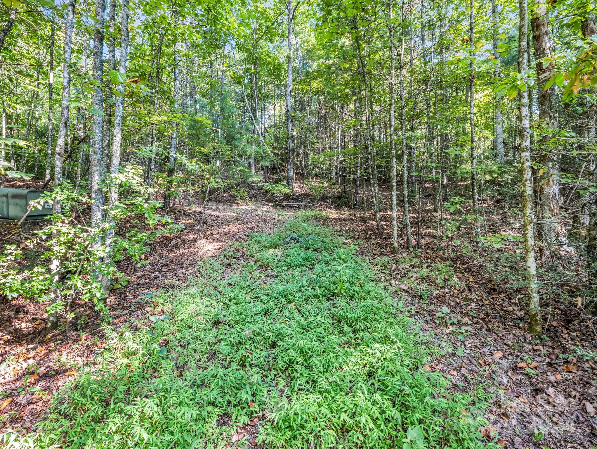 1156 Crab Creek Road Property Photo 24