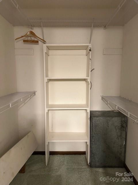 106 Dons Court Property Photo 17